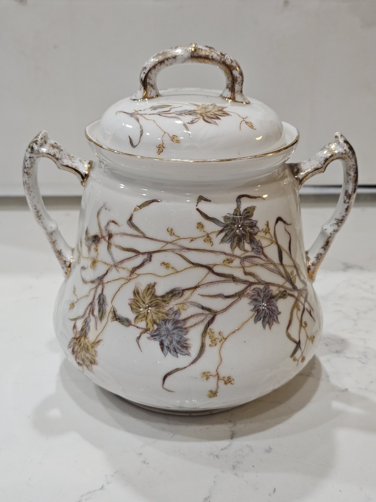 Vintage Limoges France Hand Painted Porcelain S & S Limoges Double Handled 