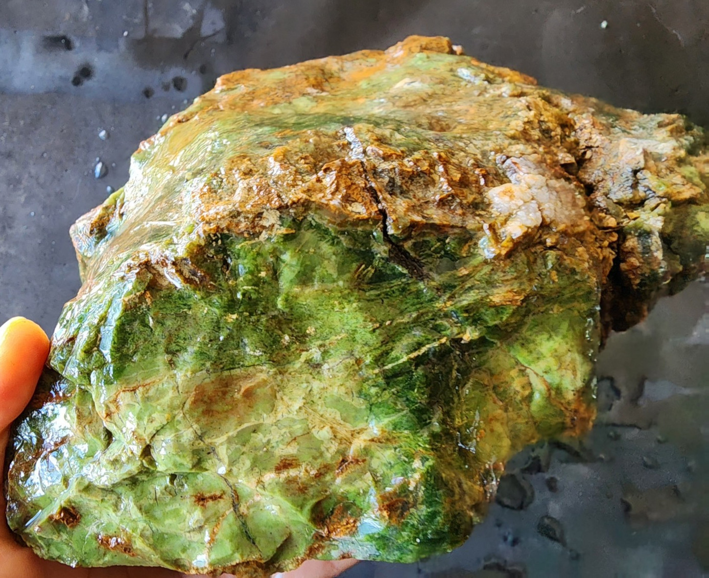 7.2 lbs (3.3 kg) Chrysoprase Rough, Raw Chrysoprase, クリソプレーズ,  크리소프레이즈