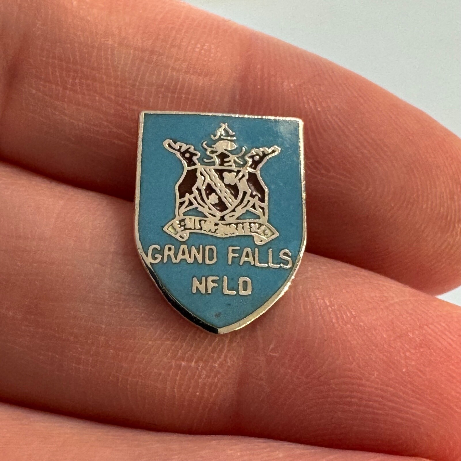 Vintage Grand Falls Newfoundland Coat of Arms Enamel Lapel Pin Tie Tack Canada Vintage Grand Falls Newfoundland Coat of Arms Enamel Lapel Pin Tie Tack Canada