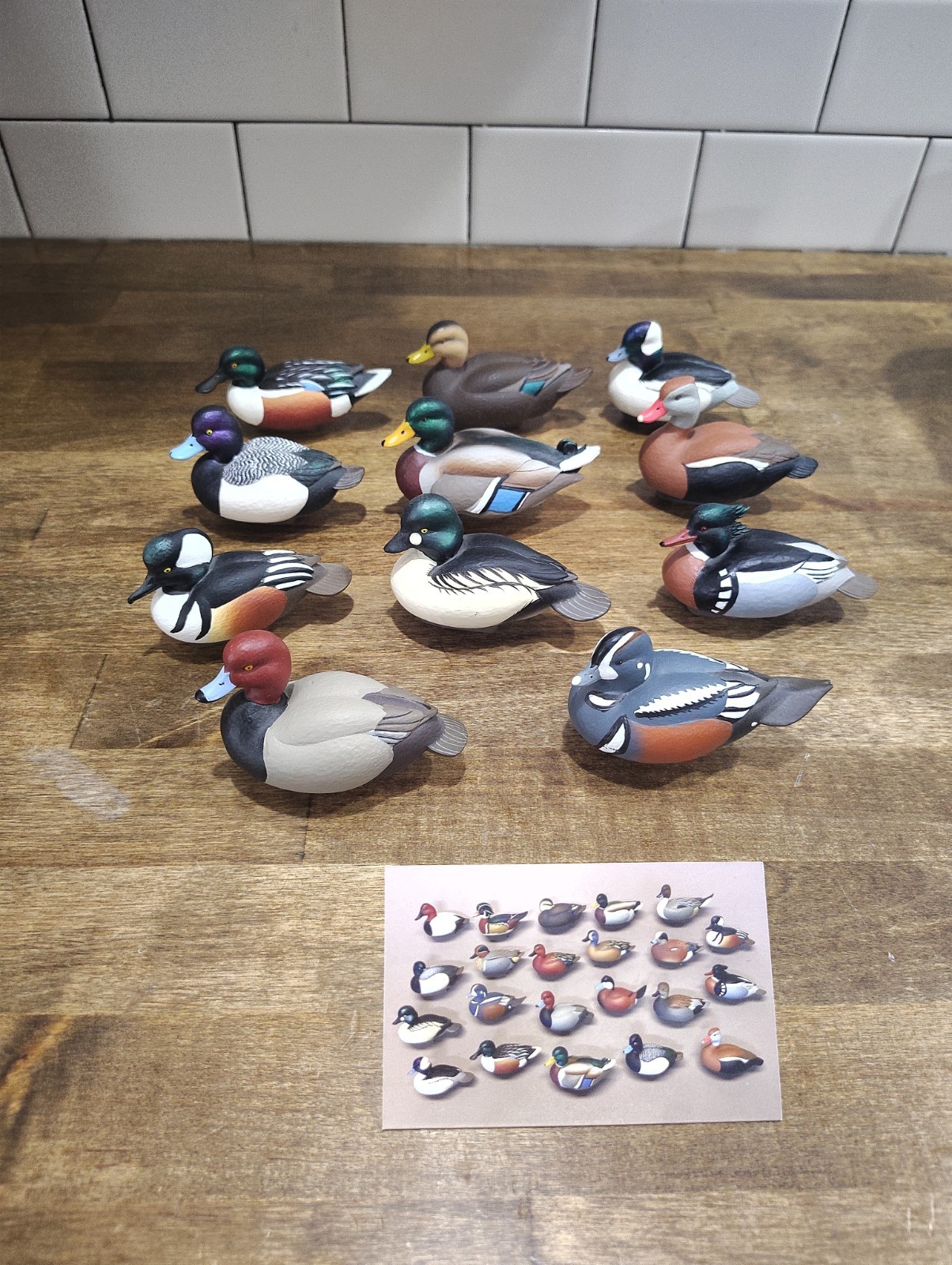 11 Jett Brunet DU Mini Duck Decoys Ducks Unlimited Redhead Teal Goldeneye