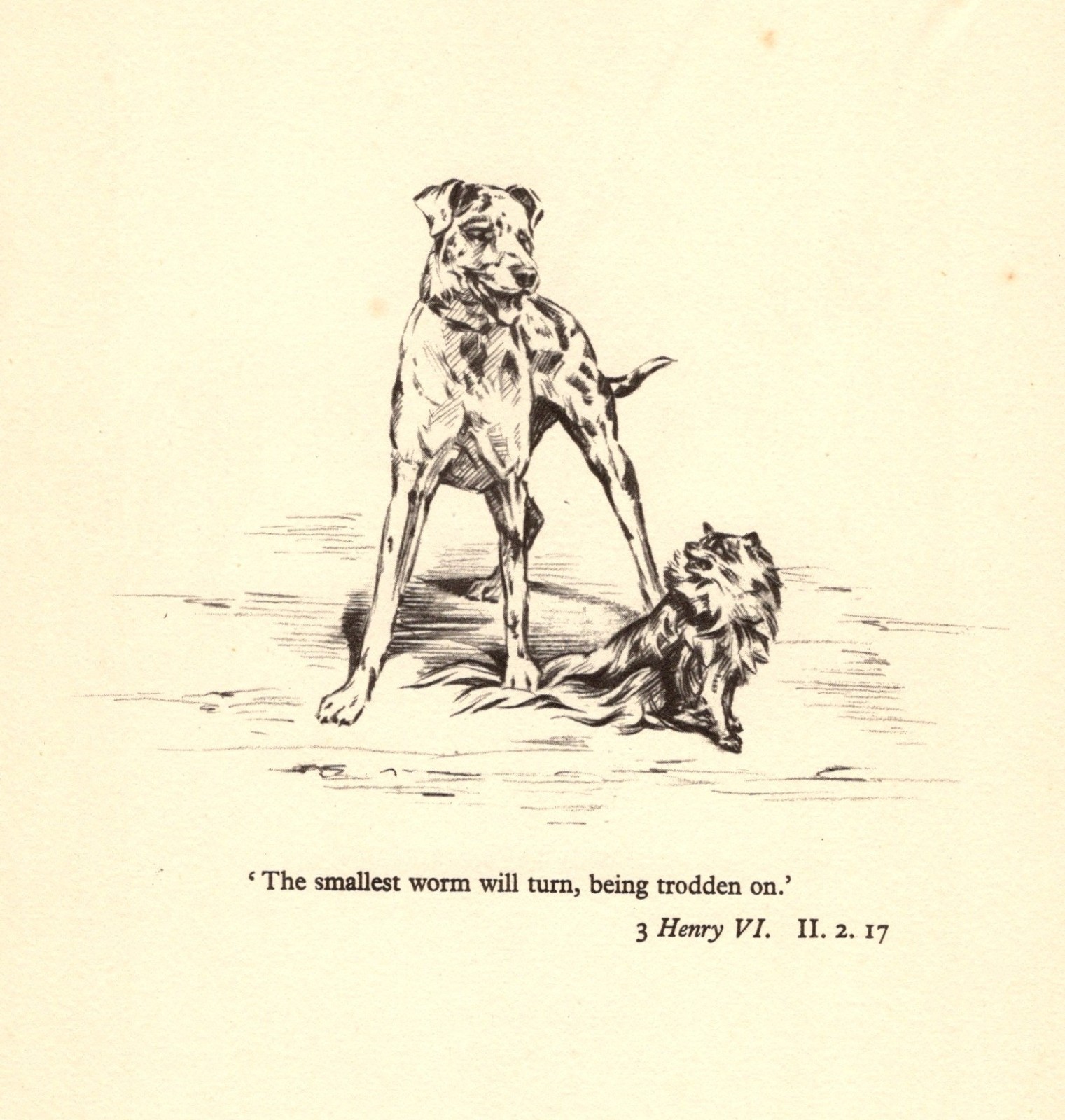 Vintage Great Dane Print Shakespeare Henry VI Quote Pomeranian Print 6964c