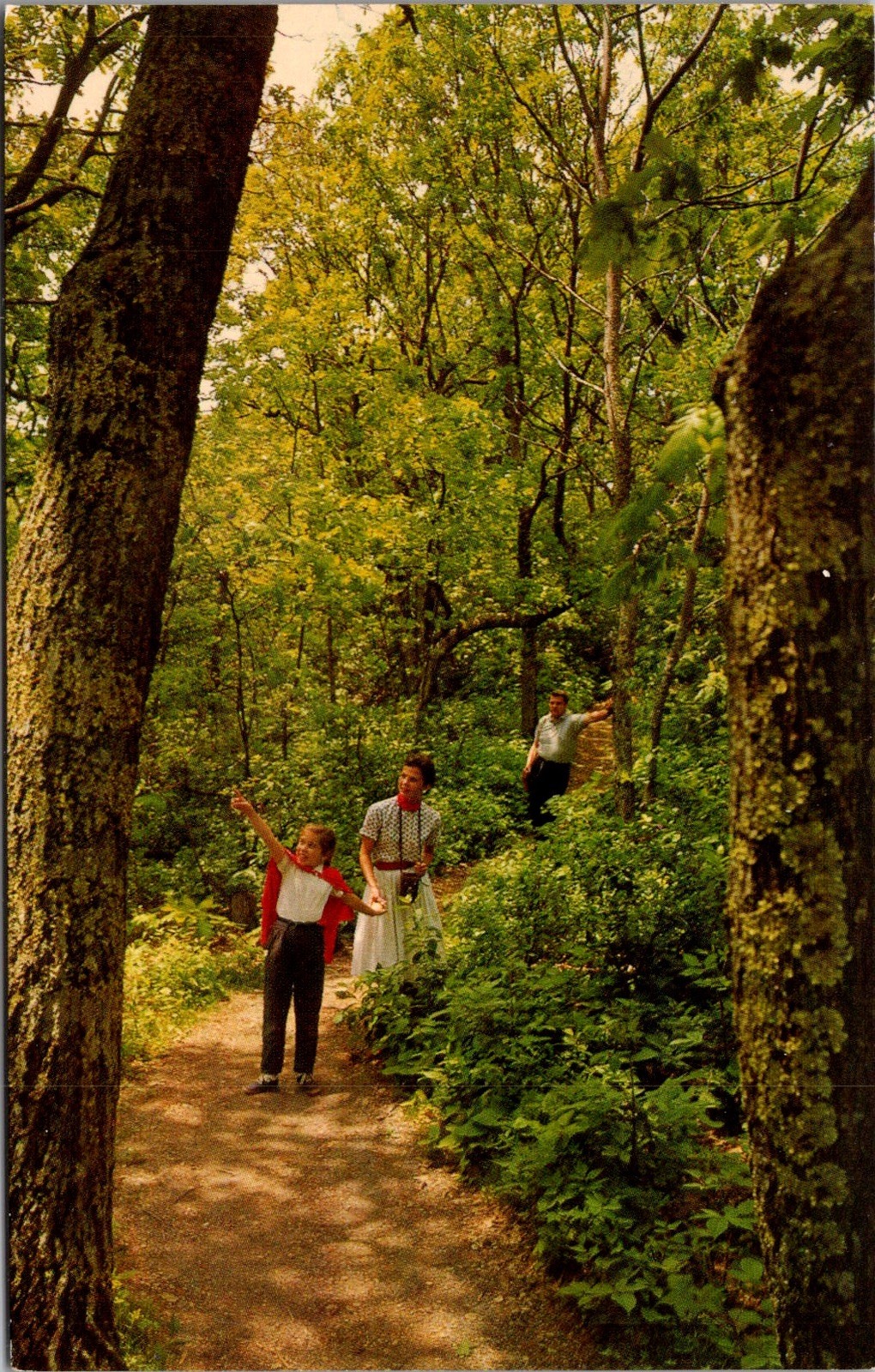 Family Hiking Stony Man Trail Skyland Shenandoah National Park Vintage Postcard