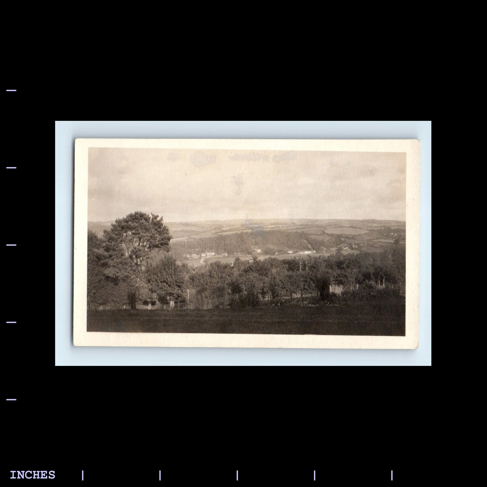 Old Vintage Photo LANDSCAPE ROLLING HILLS TREES