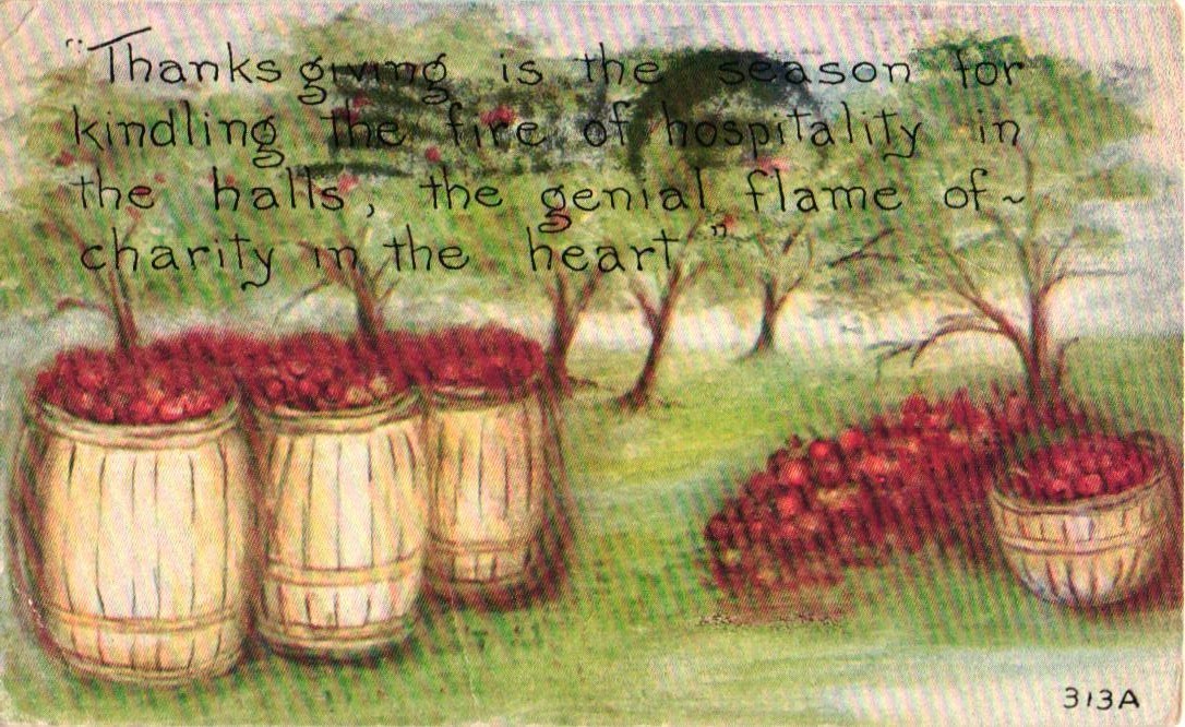 Vintage Bountiful Thanksgiving Barrels Of Apples And Trees Postcard