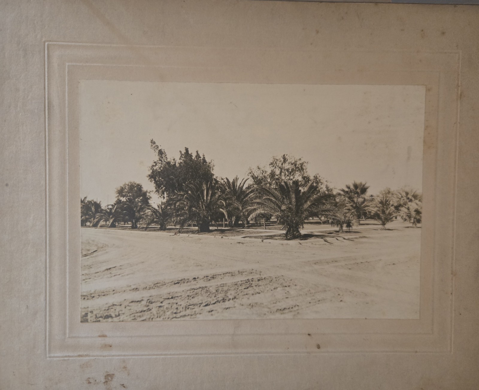 c1911 Mercedes Texas Palm Grove Street Scene Original Mounted Photograph