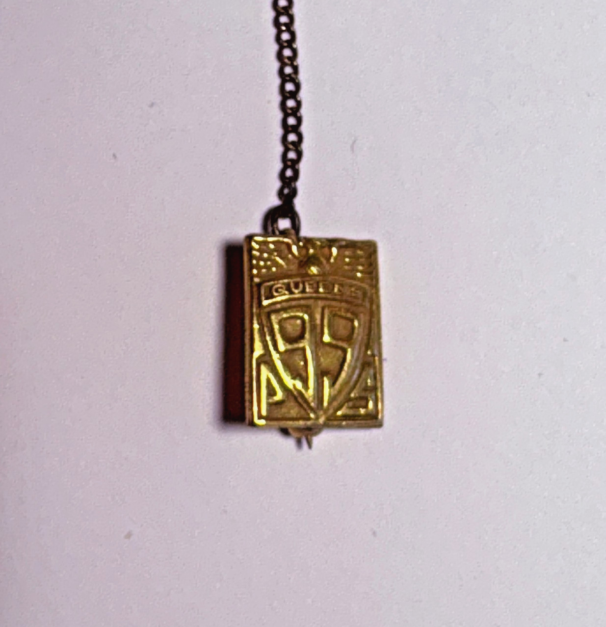 Vintage PS Public School 99 Double Pin with Chain New York 1947 - Rare