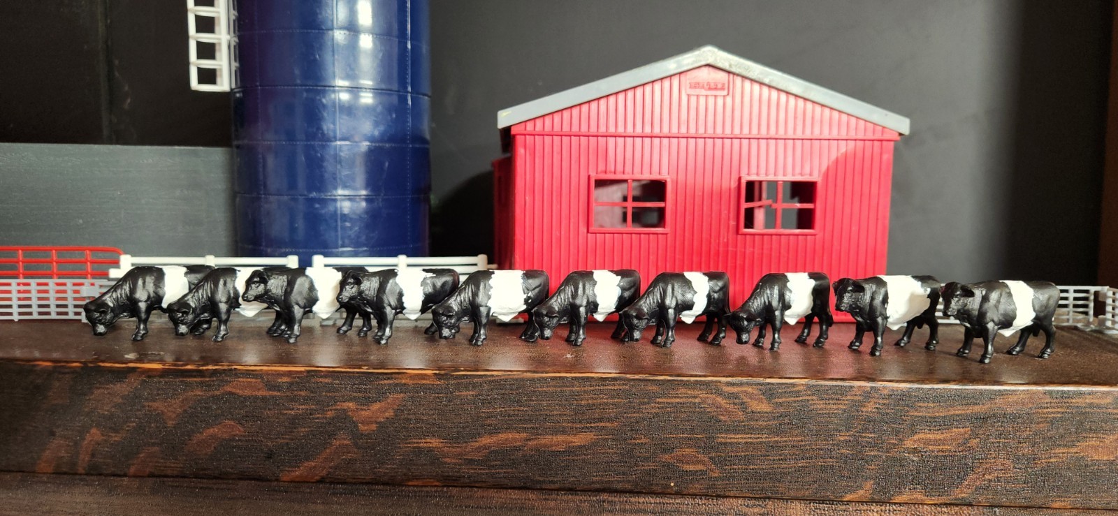 CM Custom Ertl 1/64 Set of 10 Belted Galloway cattle cows Steers Beef farm CM Custom Ertl 1/64 Set of 10 Belted Galloway cattle cows Steers Beef farm