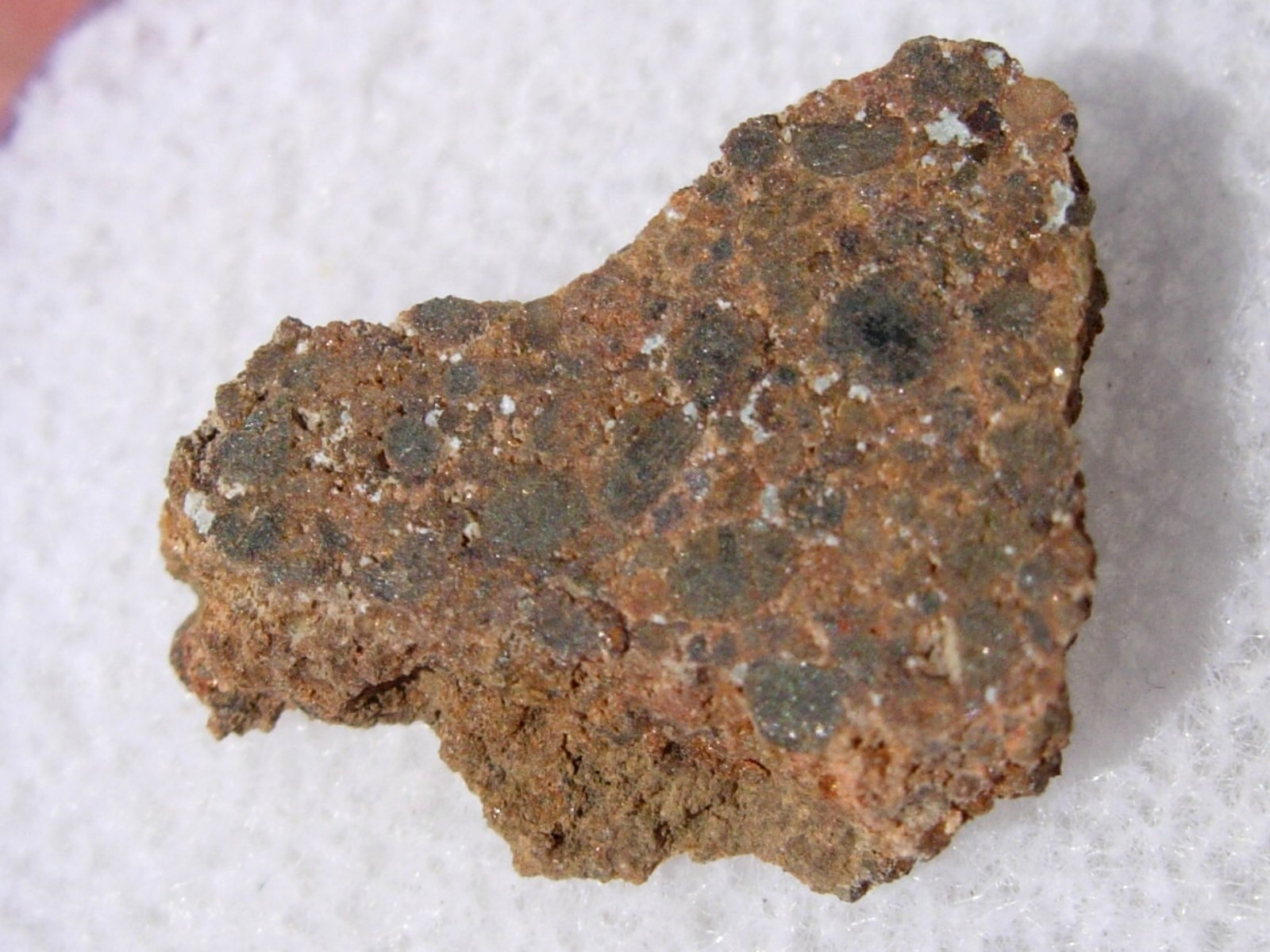 .717 grams NWA 2135 Meteorite ( class LL4 ) cut fragment - found in Africa + COA