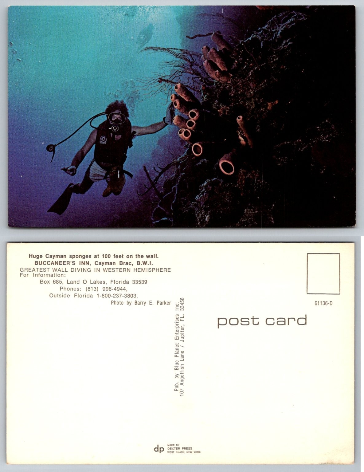 Vintage Cayman Brac Scuba Diver Sponges The Wall Postcard Dexter Press Vintage Cayman Brac Scuba Diver Sponges The Wall Postcard Dexter Press