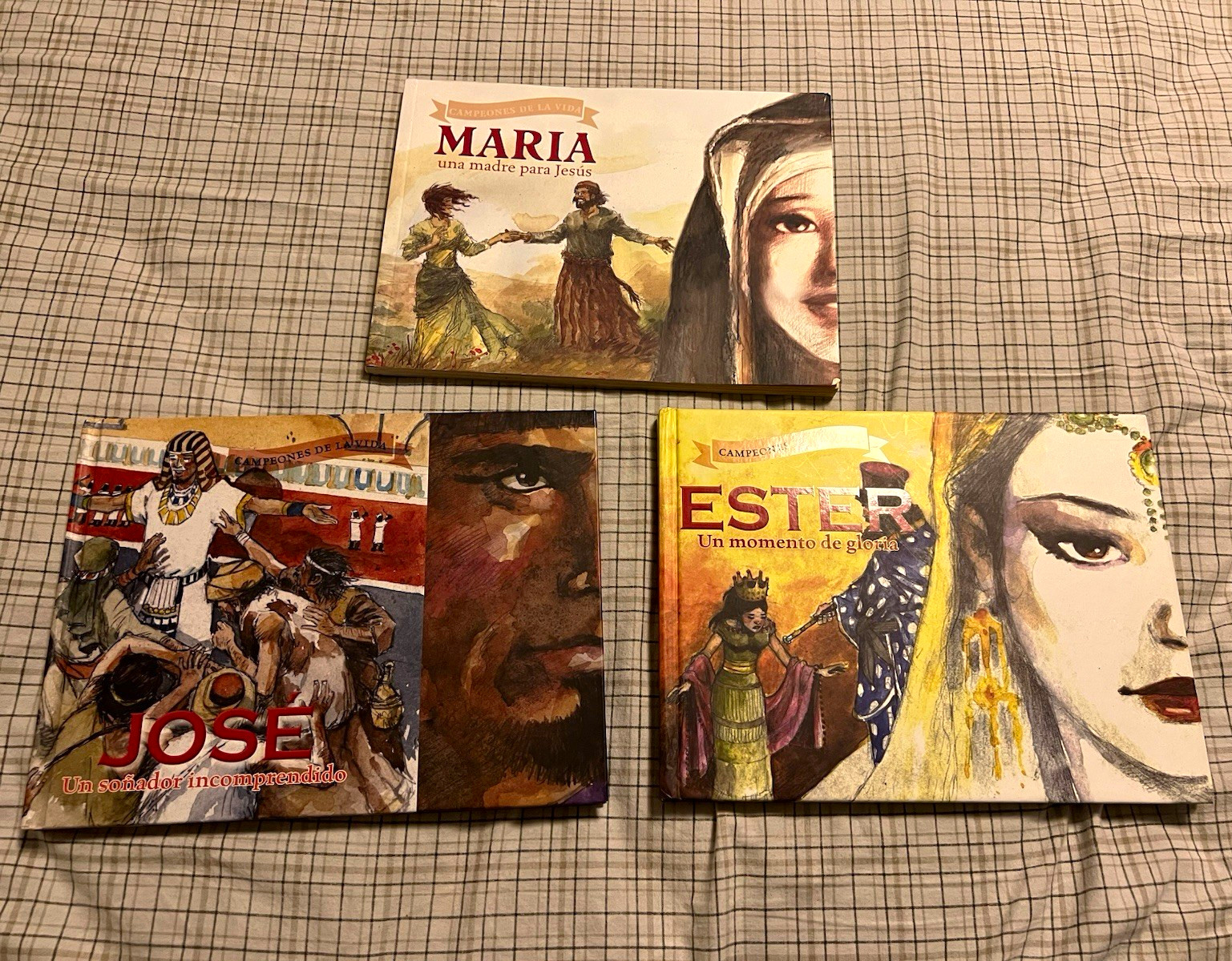 Campeones de la vida Lot of 3 María José Ester Hardcover Spanish YA Owen
