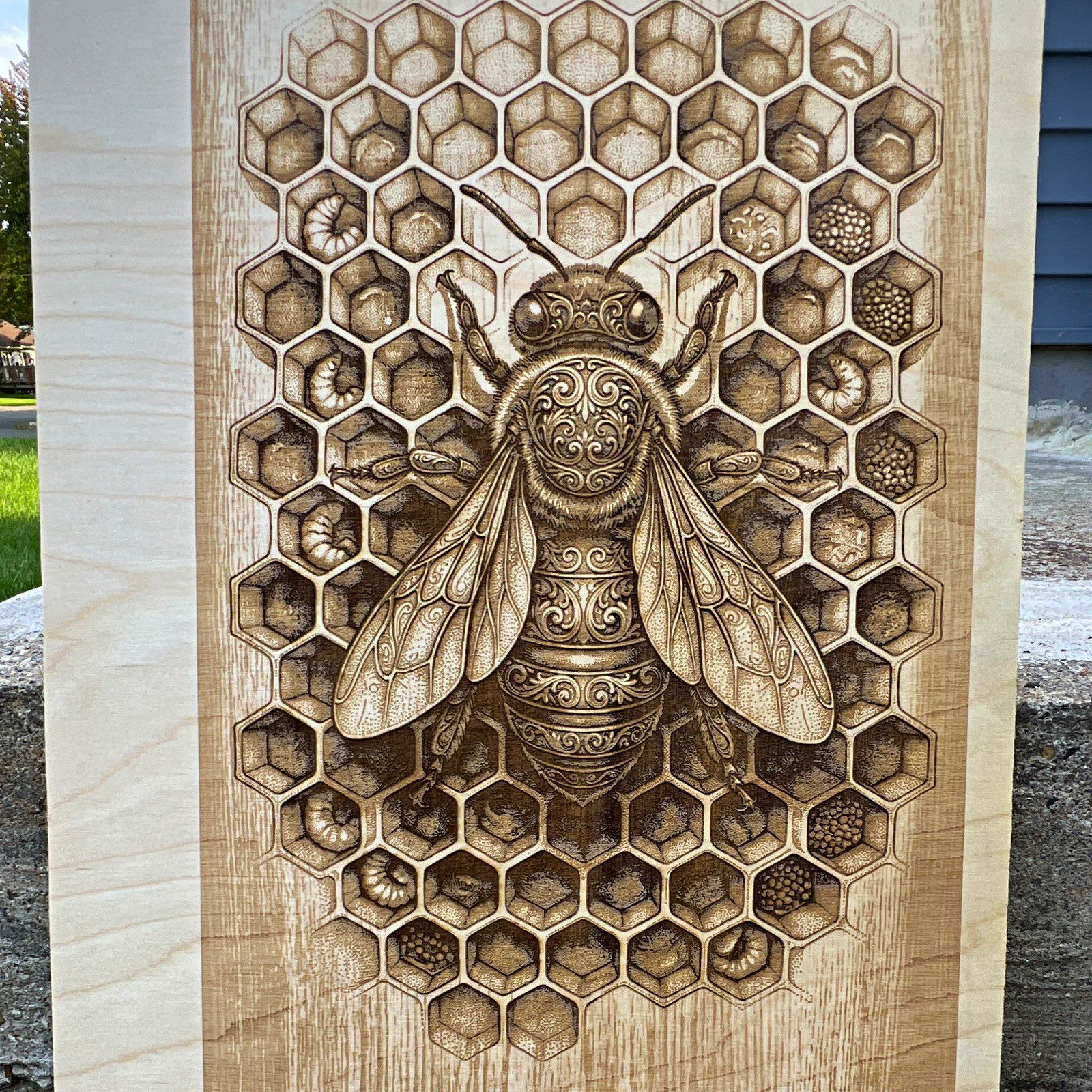  Bee Honeycomb laser, engraved art