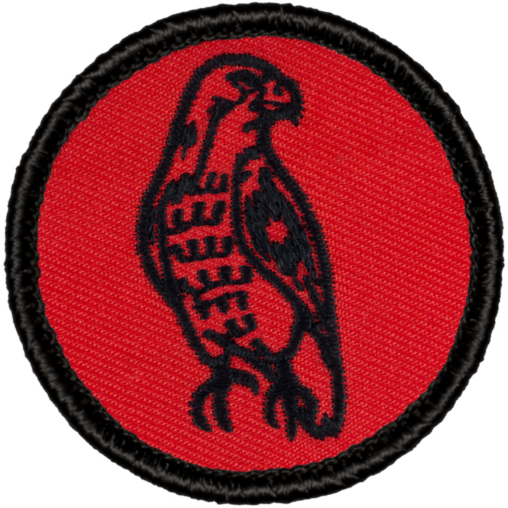 Cool Boy Scout Patrol Patch - (R002) Retro Hawk Patrol