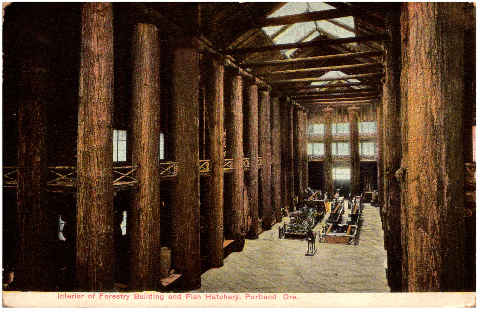 Interior of Forestry Building and Fish Hatchery Portland Oregon 1908 Postcard