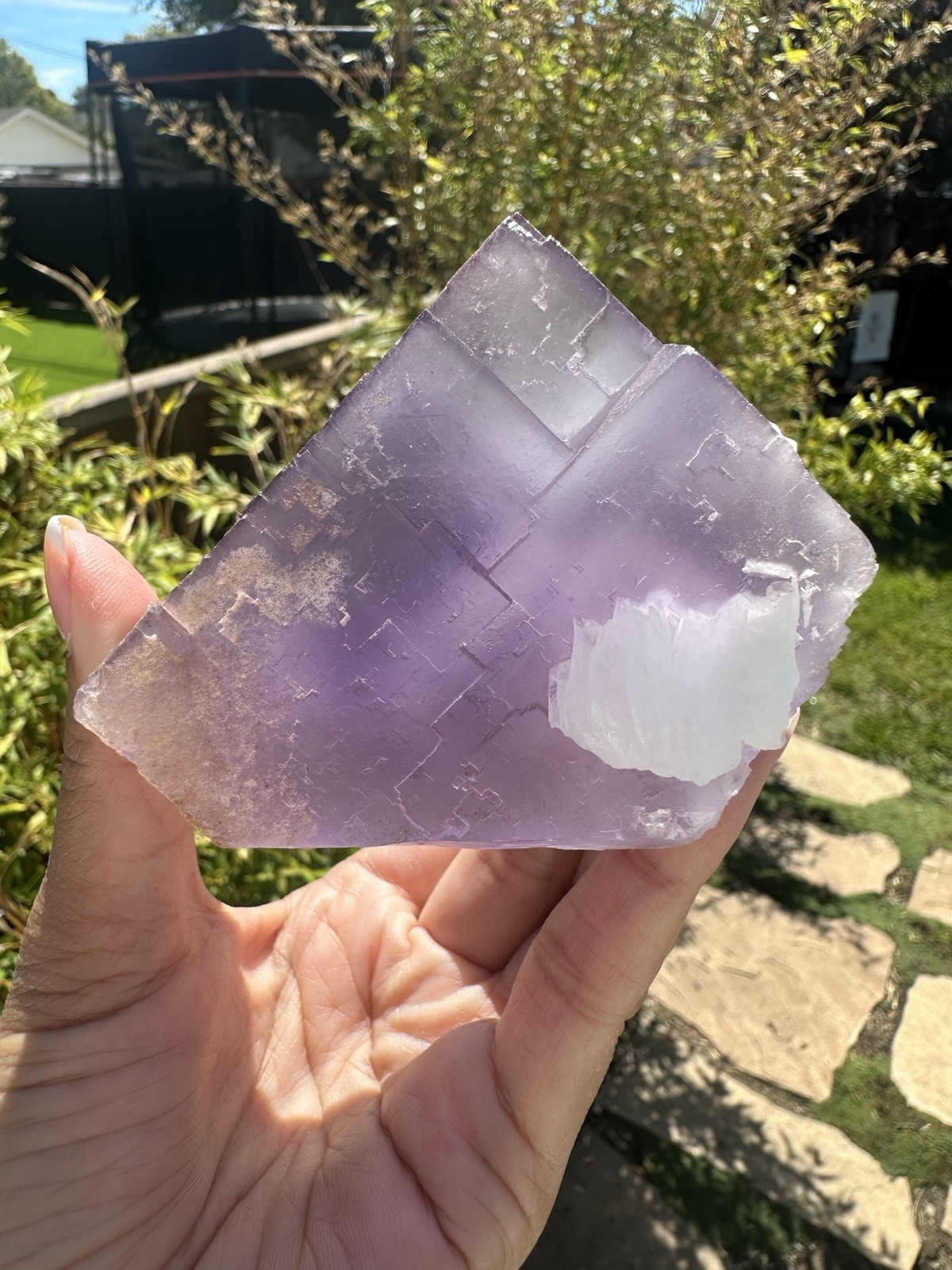 Spectacular Large Cube Purple Fluorite Phantom Zoning