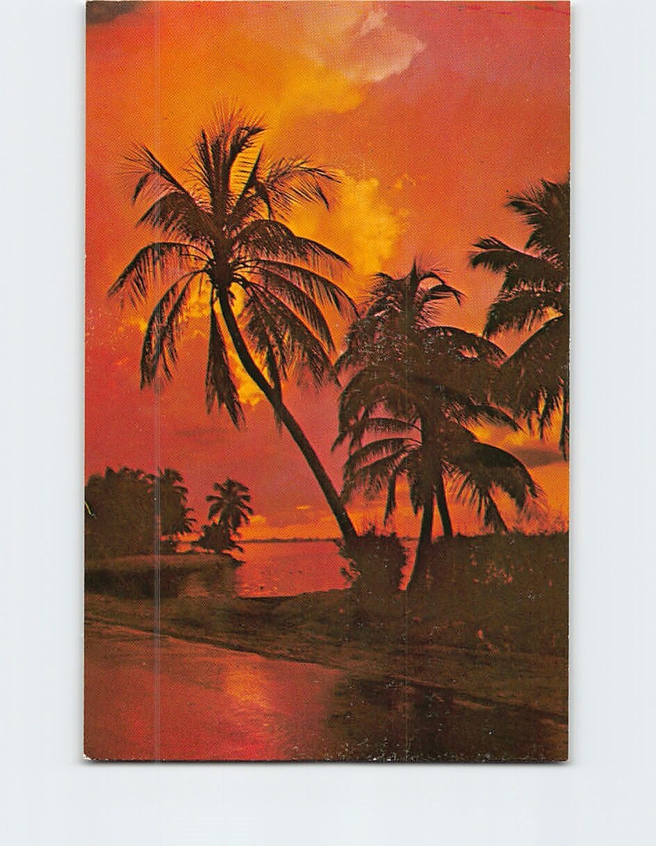 Postcard Sunset Ocean Nature Scene