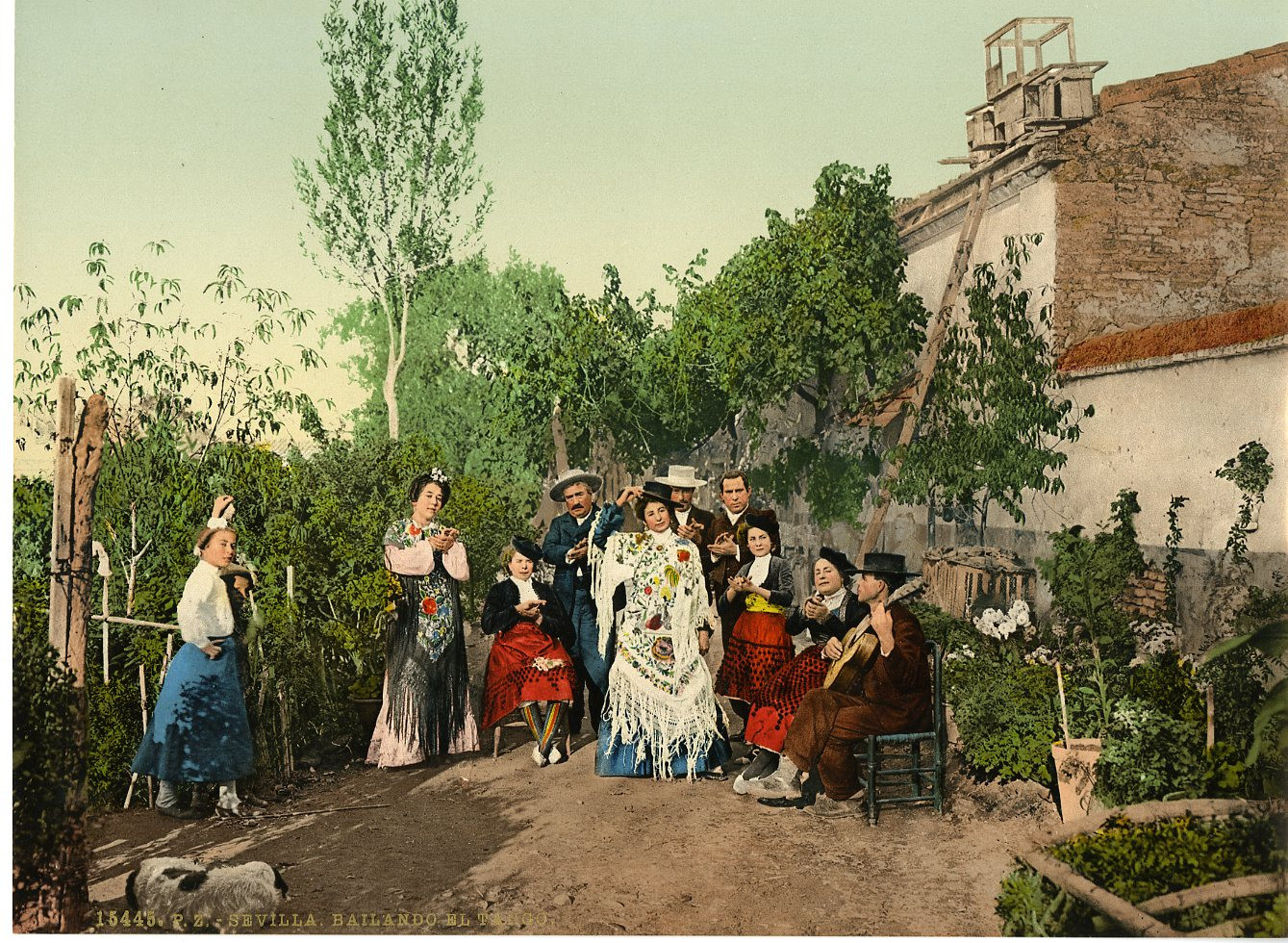Seville. Dancing the Tango. Vintage PZ Photochromic, Photochromic, Vintage Ph