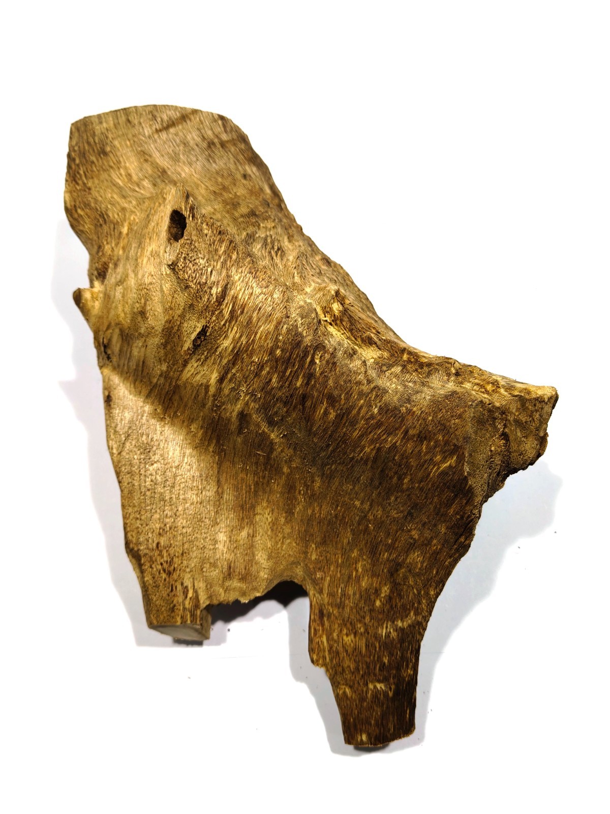 510 gr 1 pcs Aquilaria malacensis agarwood aromatherapy Ornament from Kalimantan