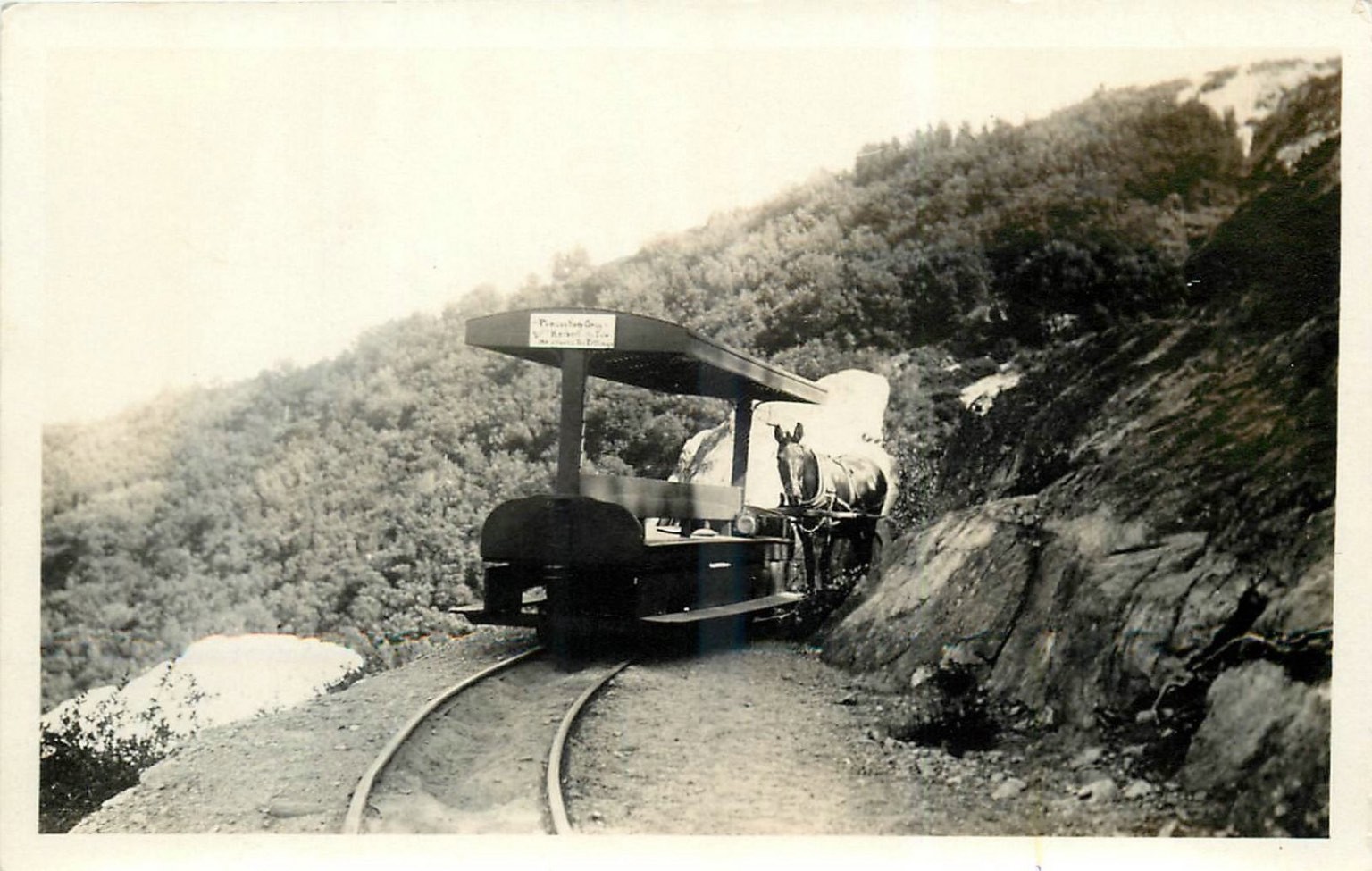 1920s Mount Lowe CA One Man One Mule Railway RPPC Vintage Postcard