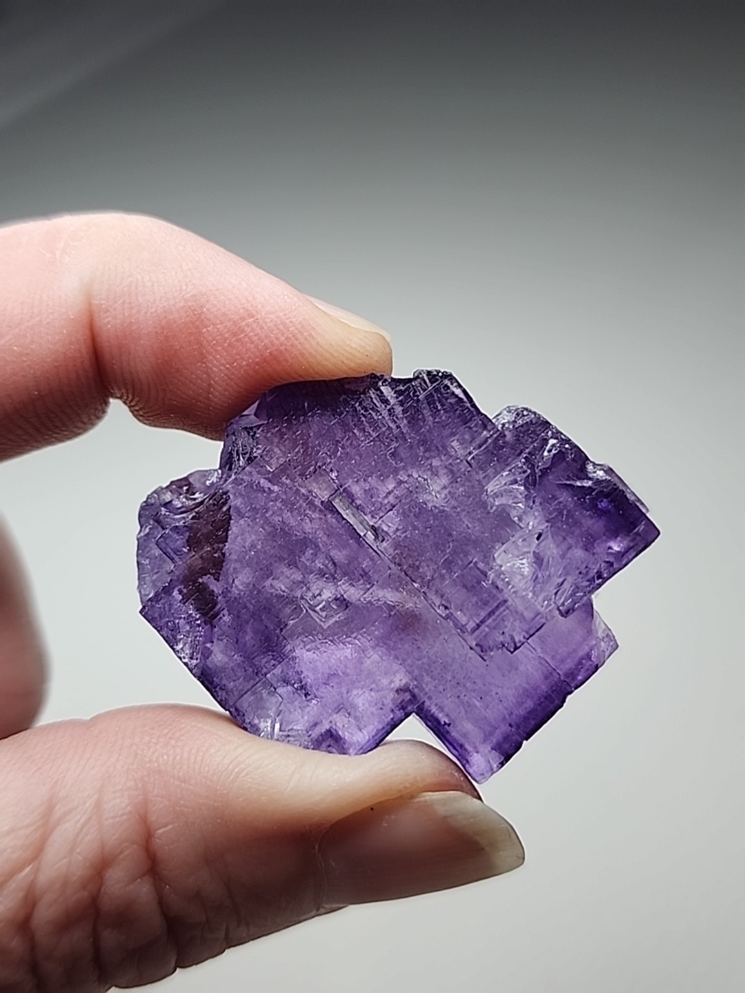 Fluorite Cubic Structure Phantom Zones Small Inclusion Of Bitumen Glassy Phantom