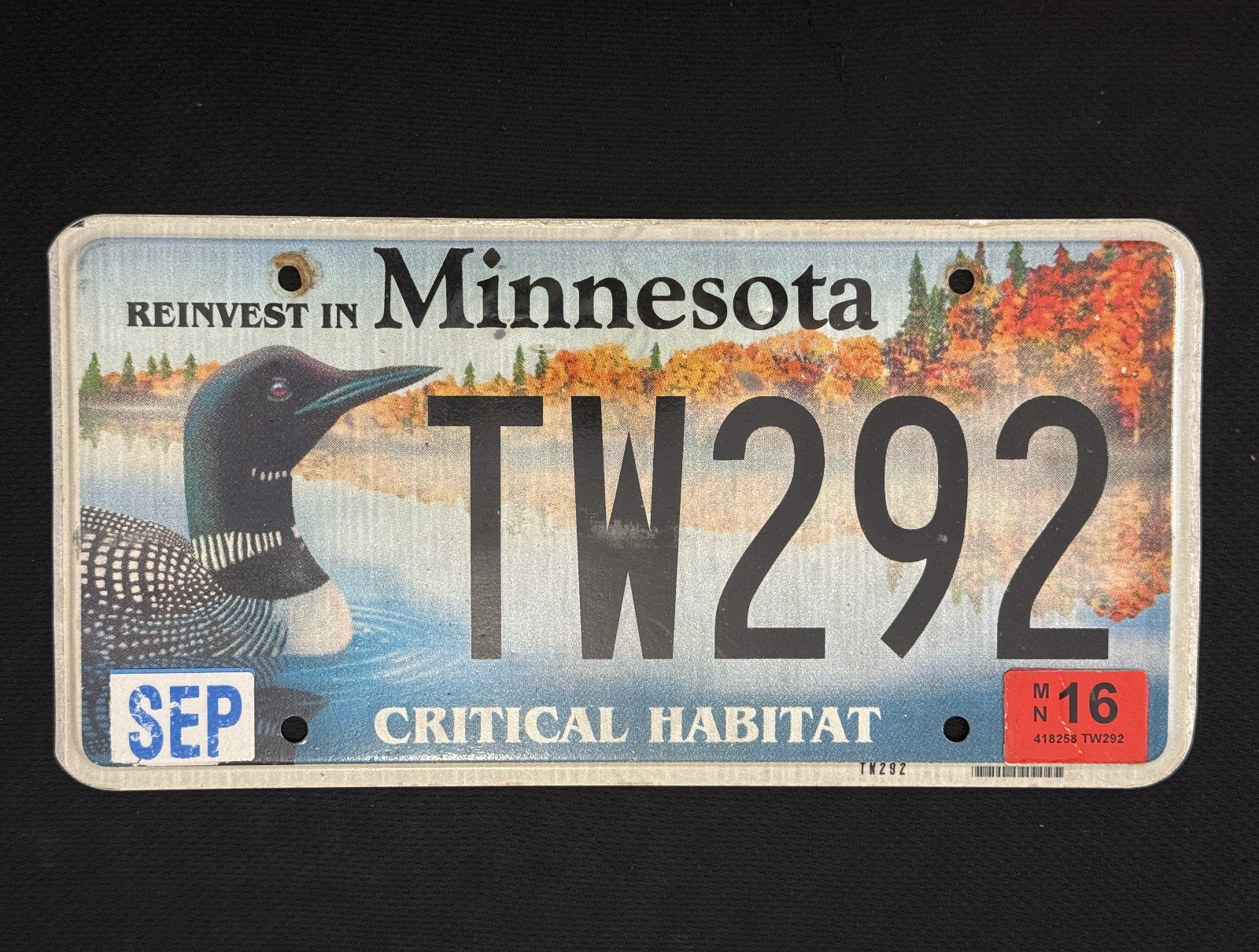 2016 Minnesota Loon / Bird License Plate TW292 ...... Collect / Specialty 2016 Minnesota Loon / Bird License Plate TW292 ...... Collect / Specialty