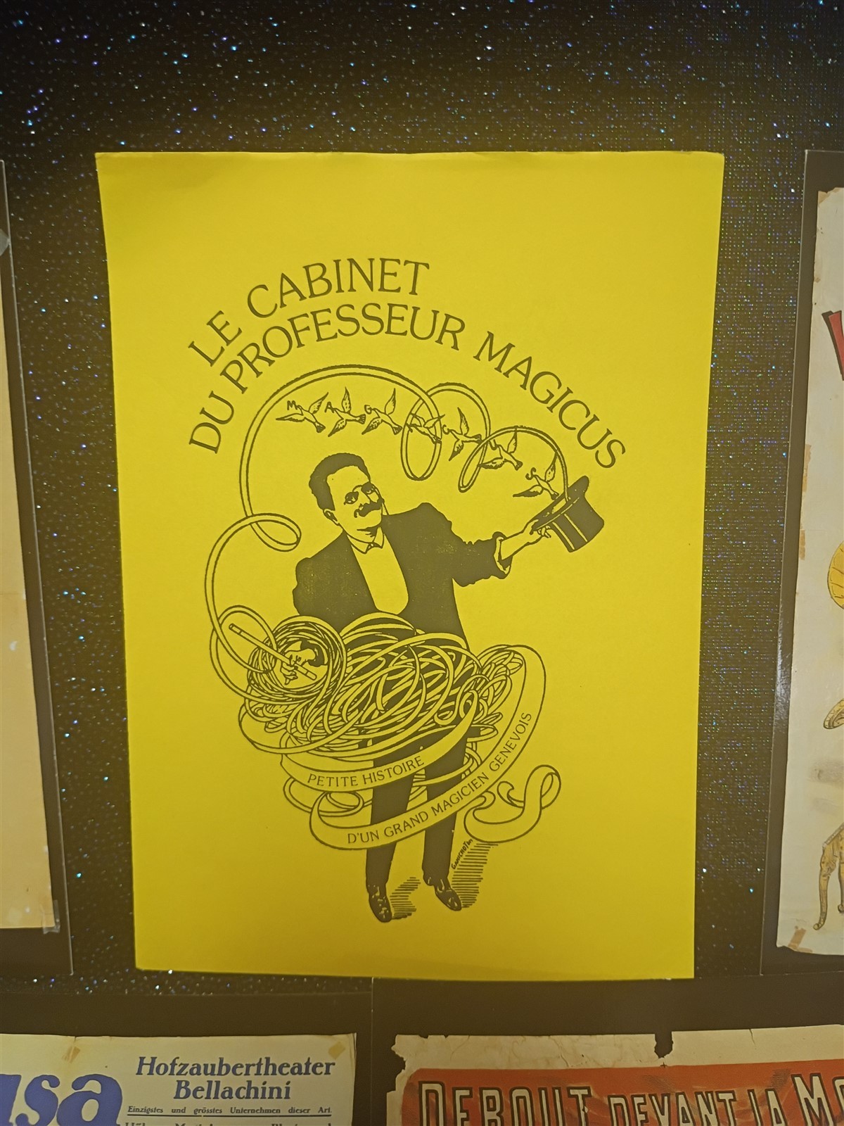 Magicians Postcards Le Cabinet Du Professeur Magious 