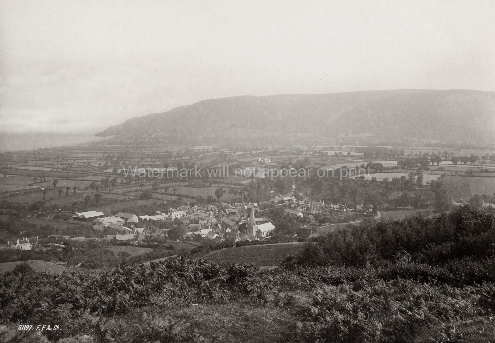 Porlock Somerset Village Coastal View Rural Landscape Church Vtg. Photo 19thC.