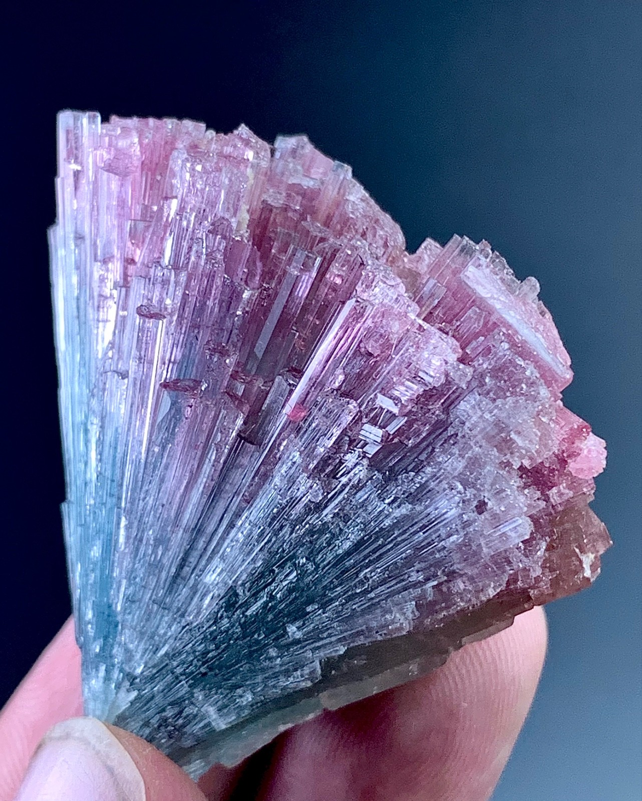 Bi Colour Tourmaline Crystal From Afghanistan 215 Carat