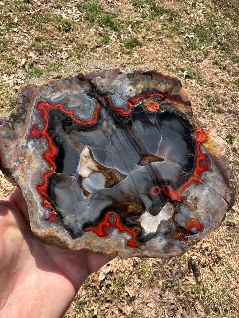 8 1/8''__Beautiful Imperial Kentucky Agate Slab from Estill County