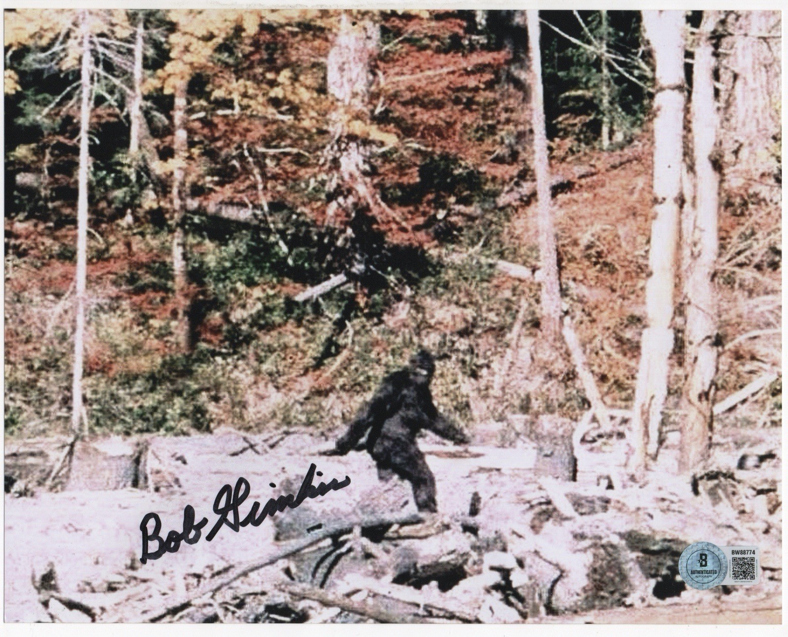 Bob Gimlin autographed signed 8x10 photo Beckett BAS COA Bigfoot Gimlin Video