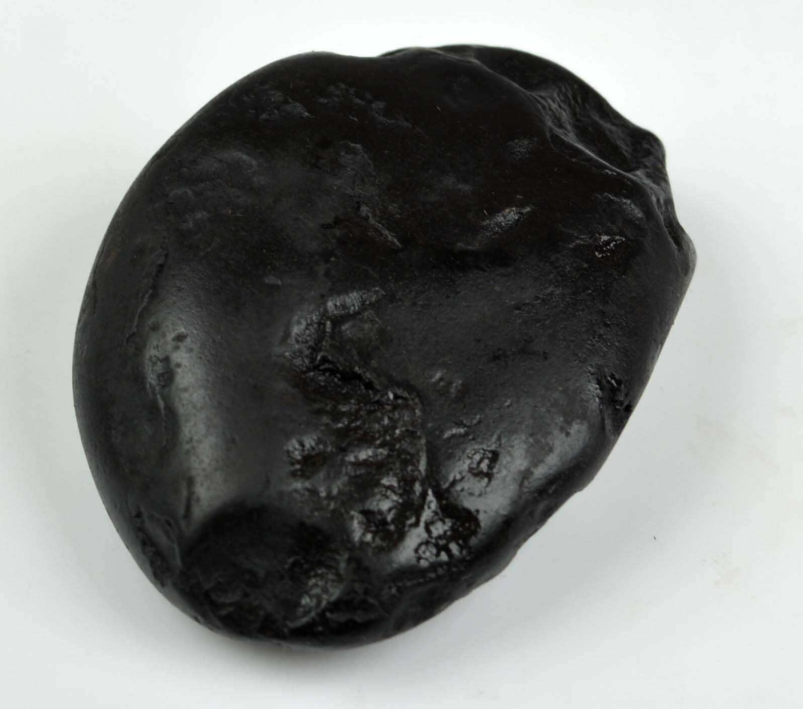 Matsya Shaligram- Gandaki River-69 Gram/2.48\