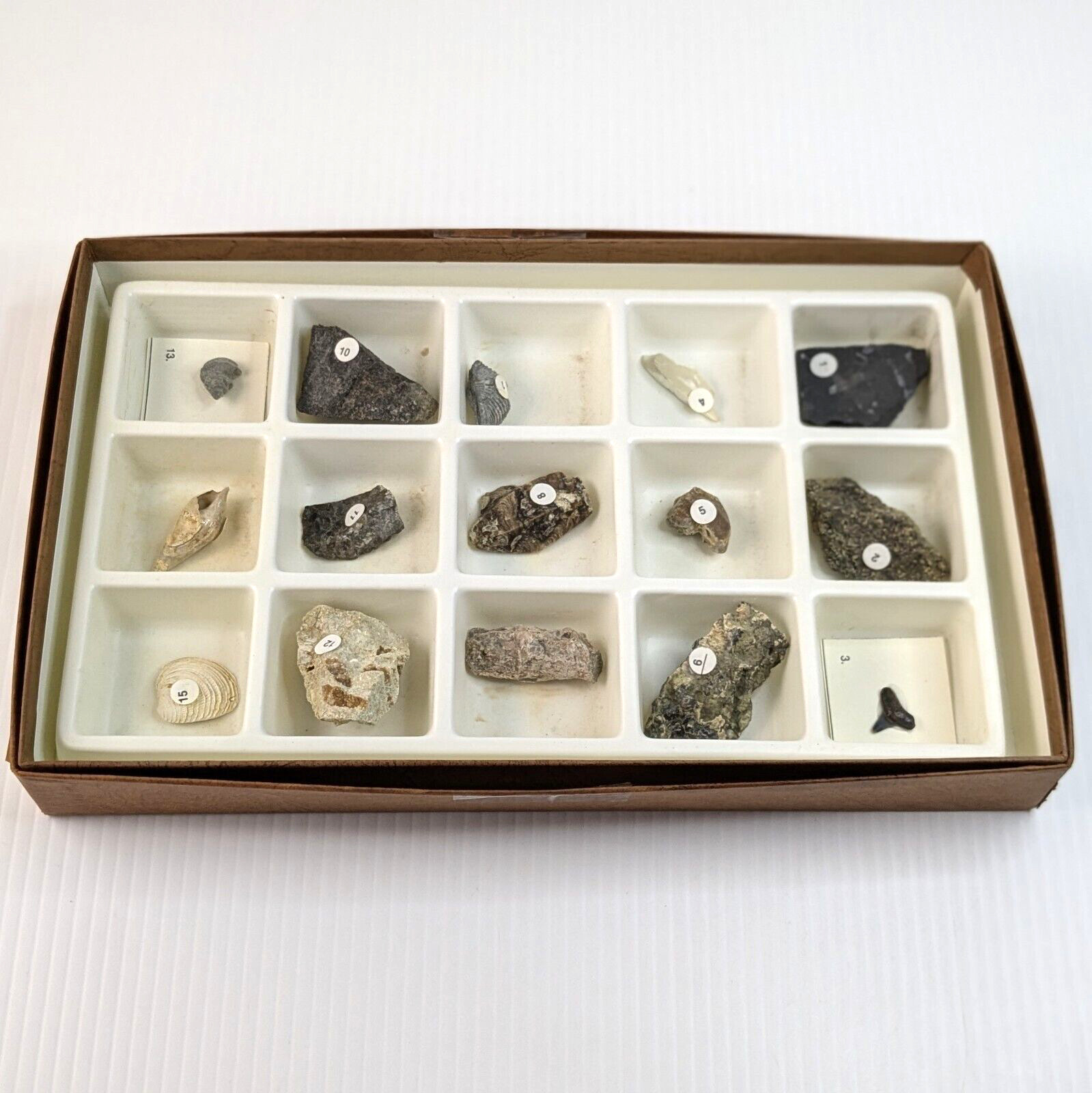 Earth Science Classroom Samples Fossils, Rocks, Minerals - Geology Samples EDU Earth Science Classroom Samples Fossils, Rocks, Minerals - Geology Samples EDU
