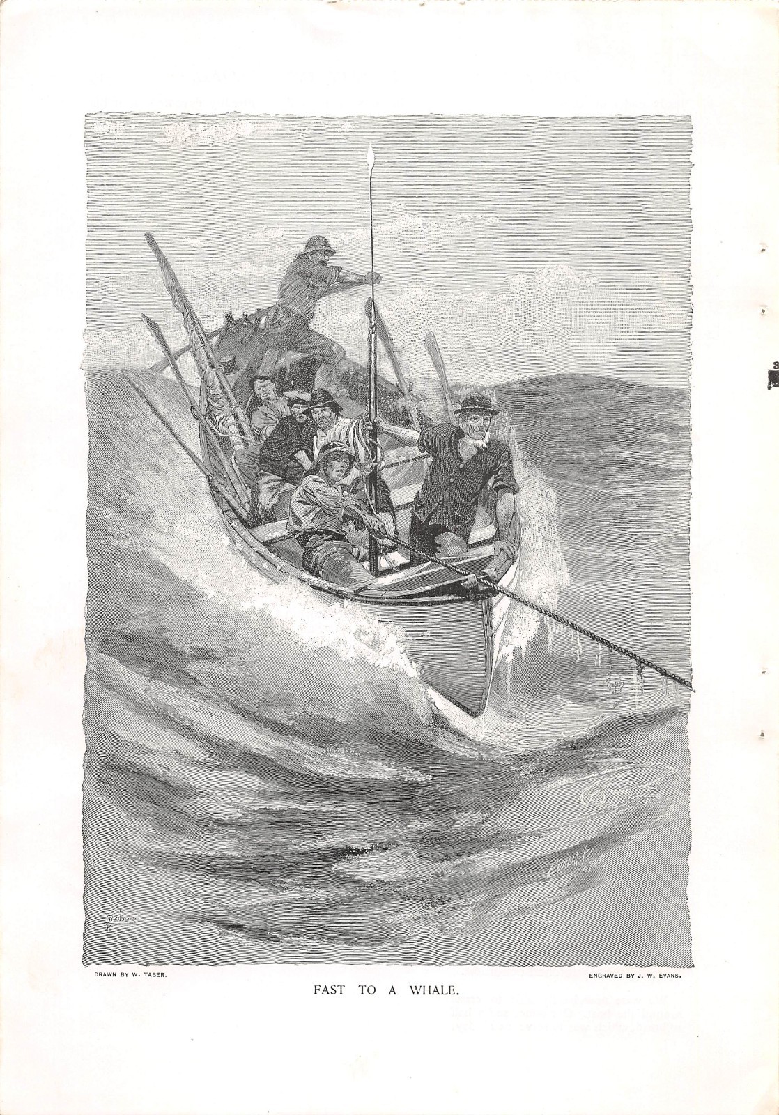 antique 1890 Yankee Deep-Sea WHALING Old Whalers W Taber Illustrations