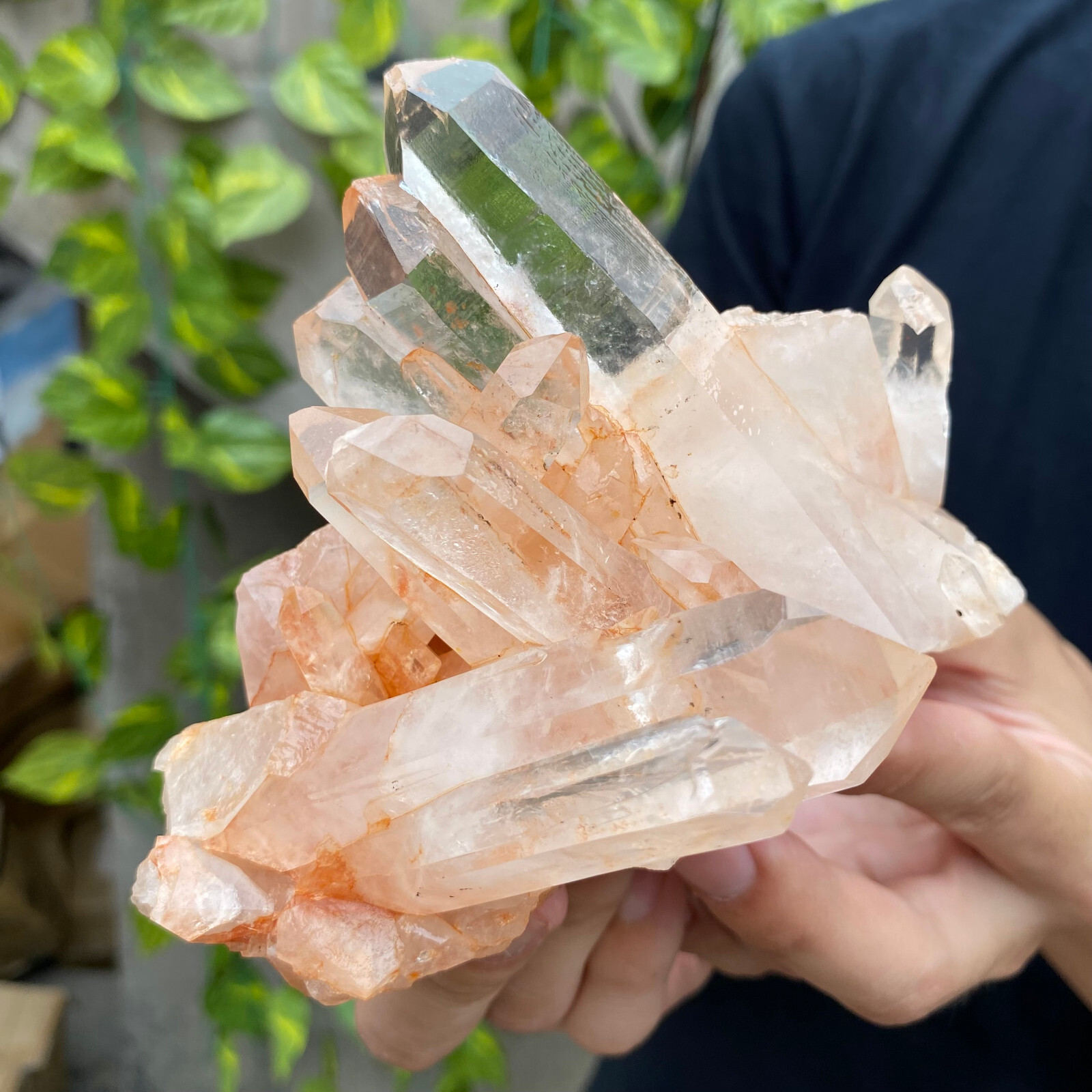 625g Natural Clear White Quartz Crystal Cluster Rough Healing Specimen
