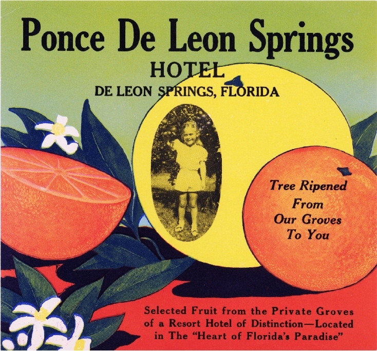 De Leon Springs Florida Ponce De Leon Orange Citrus Fruit Crate Label Art Print