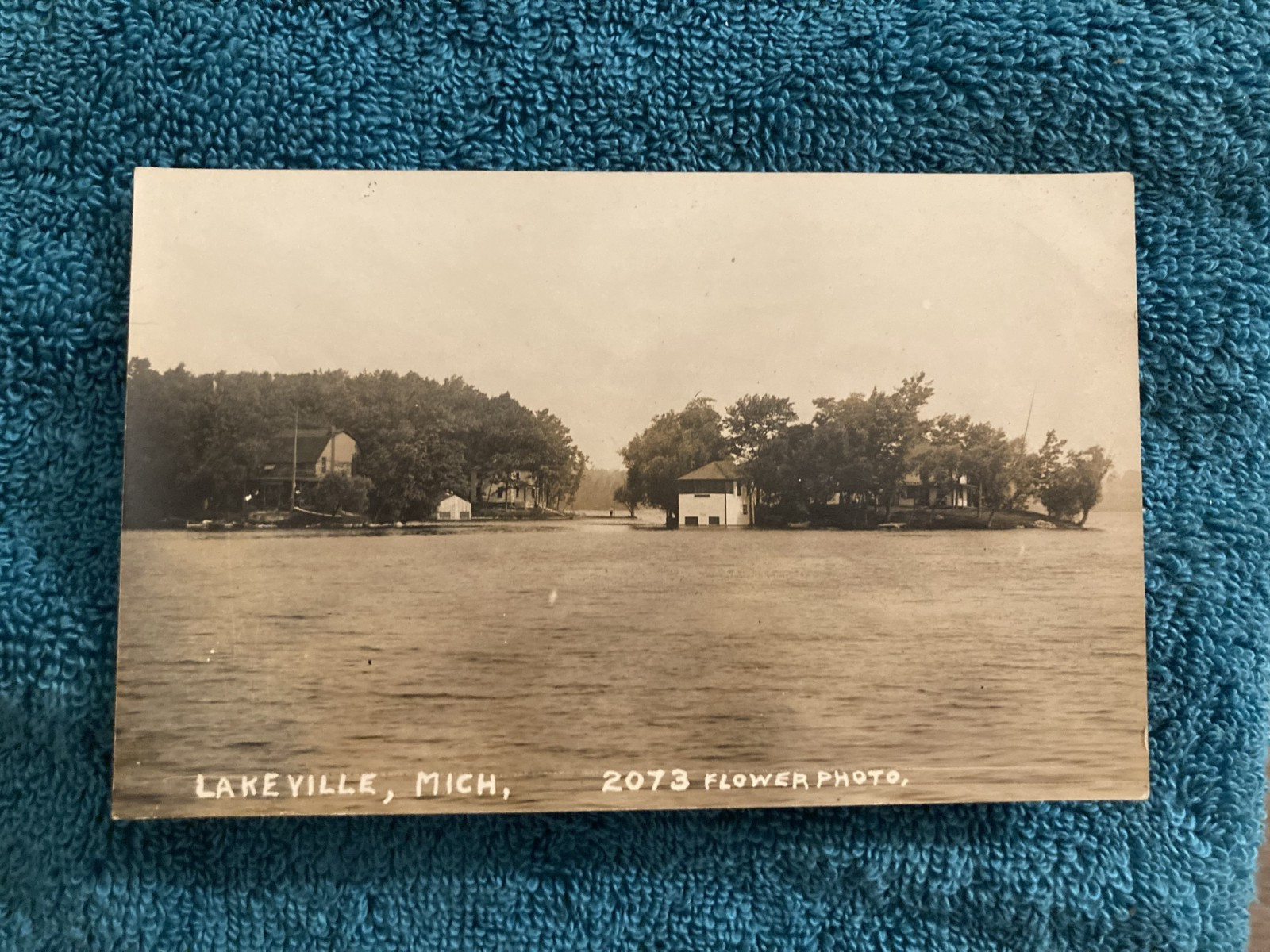 RPPC Lakeville Michigan Cottage Island Unposted Flower Photo c1910 RPPC Lakeville Michigan Cottage Island Unposted Flower Photo c1910