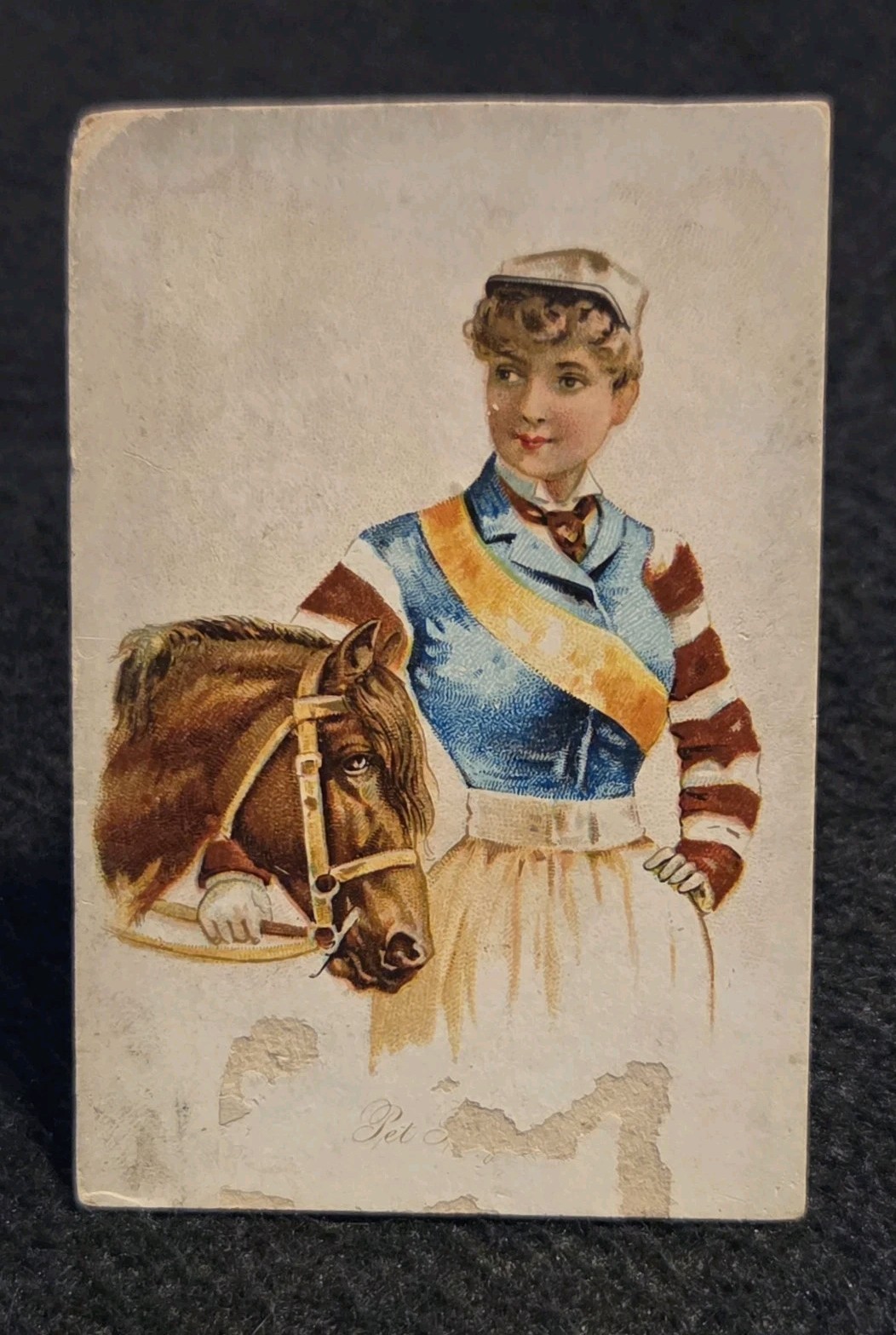1891 N194 Wm S. Kimball & CO.  Household Pets Pet Lamb  -  14