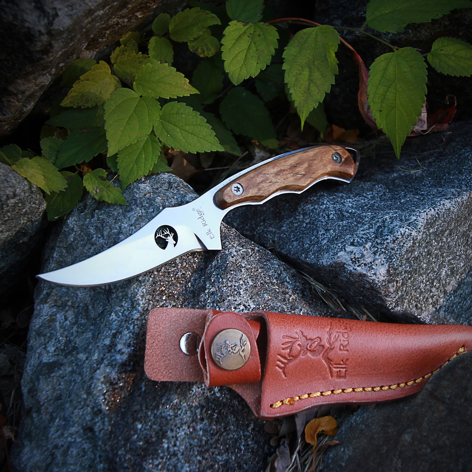 Elk Ridge Fixed Blade Full Tang Knife w/Wood Handle and Leather Sheath