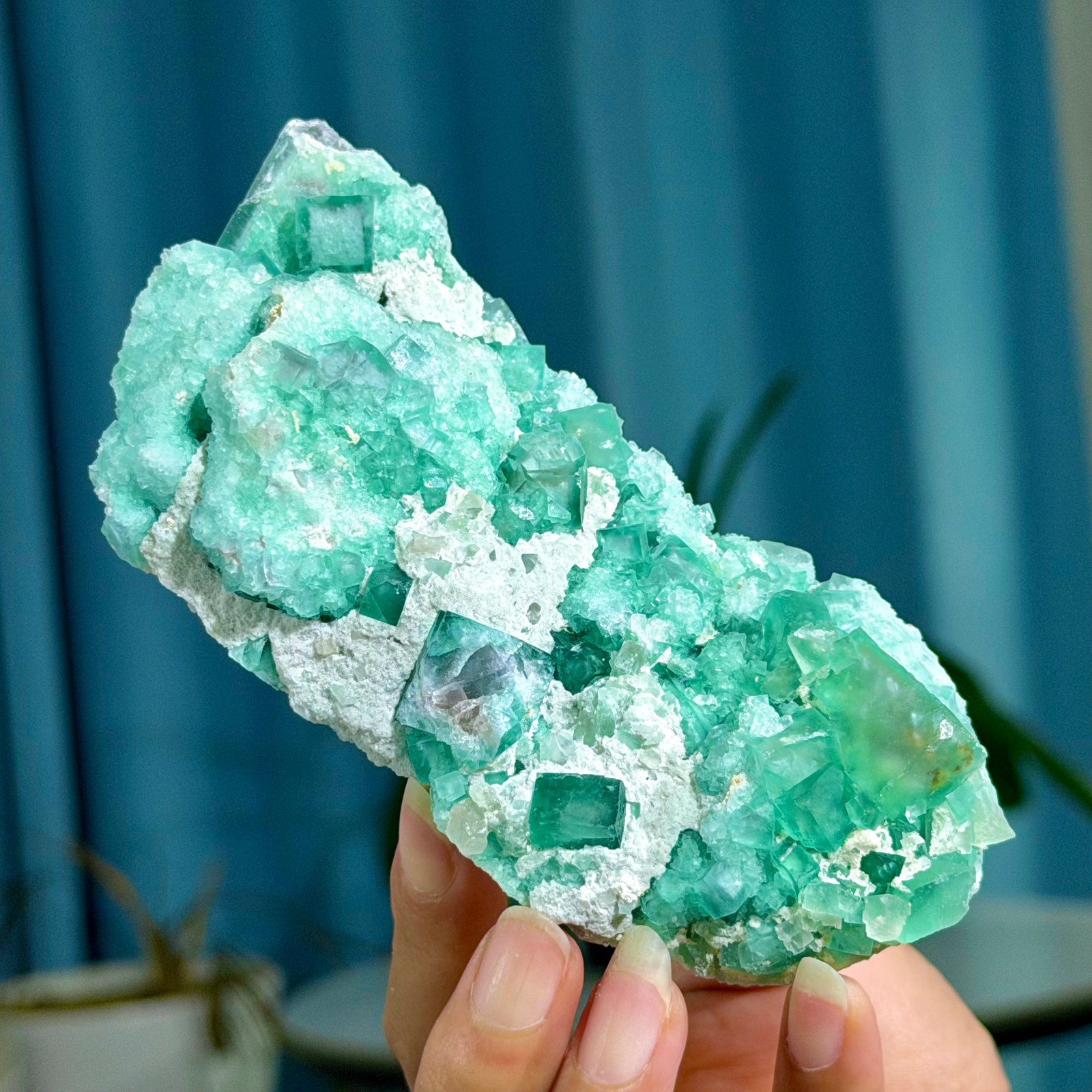 339G Rare transparent green cubic fluorite mineral crystal sample/China