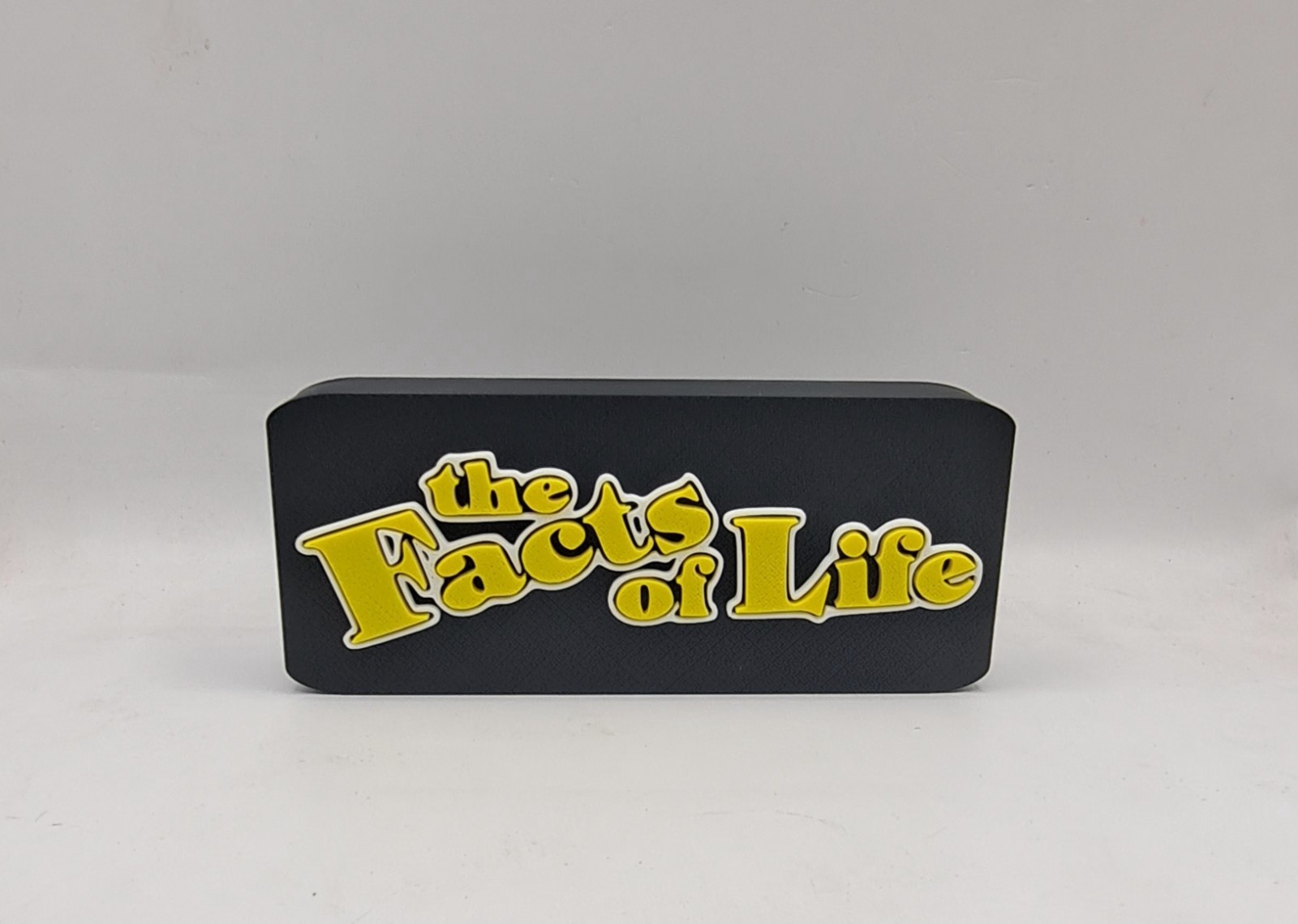 1980s TV Show Facts of Life Sign Shelf Desk Art