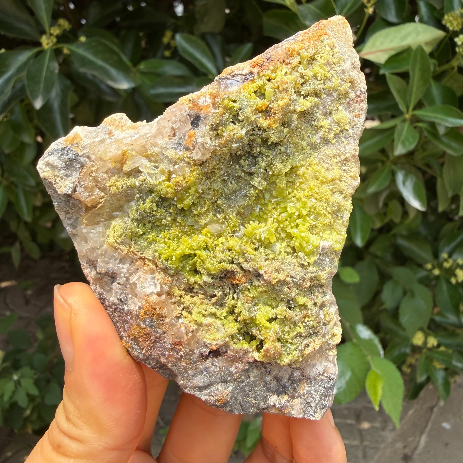 274g Natural Pyromorphite Crystal mineral Healing specimen