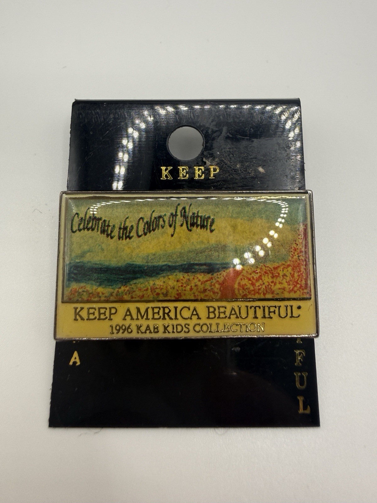 Keep America Beautiful 1996 Kab Kids Collection Lapel Pin Vintage 