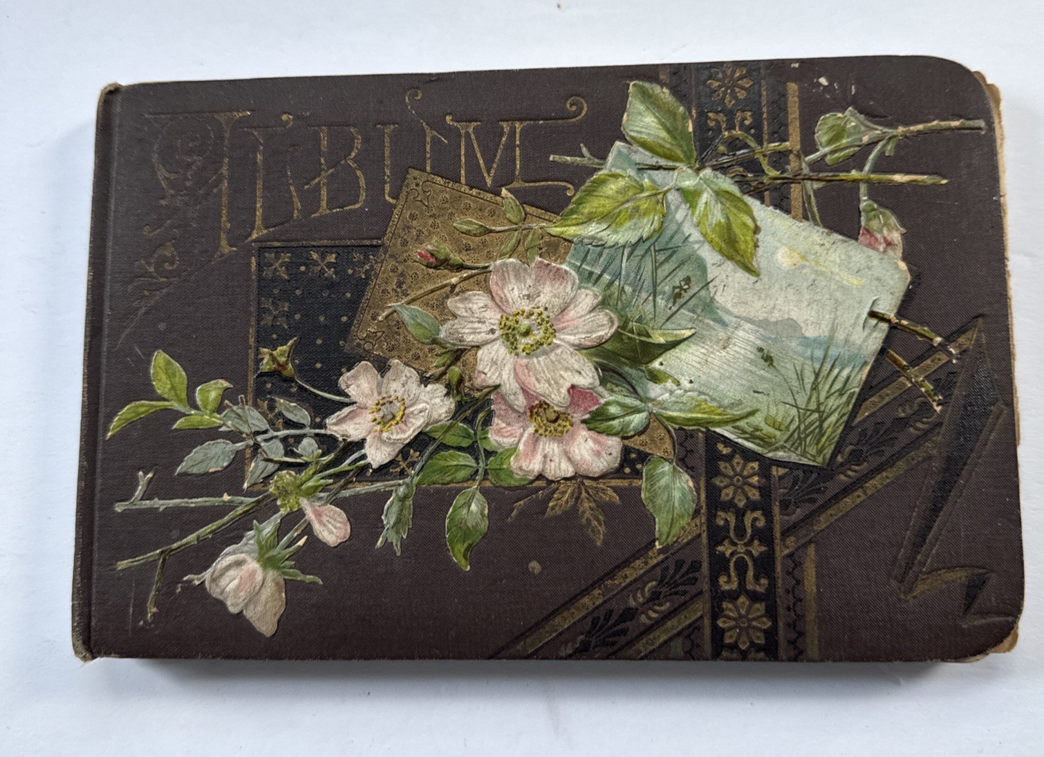Antique 1880’s Ellen Hawkins Victorian Autograph Book Floral