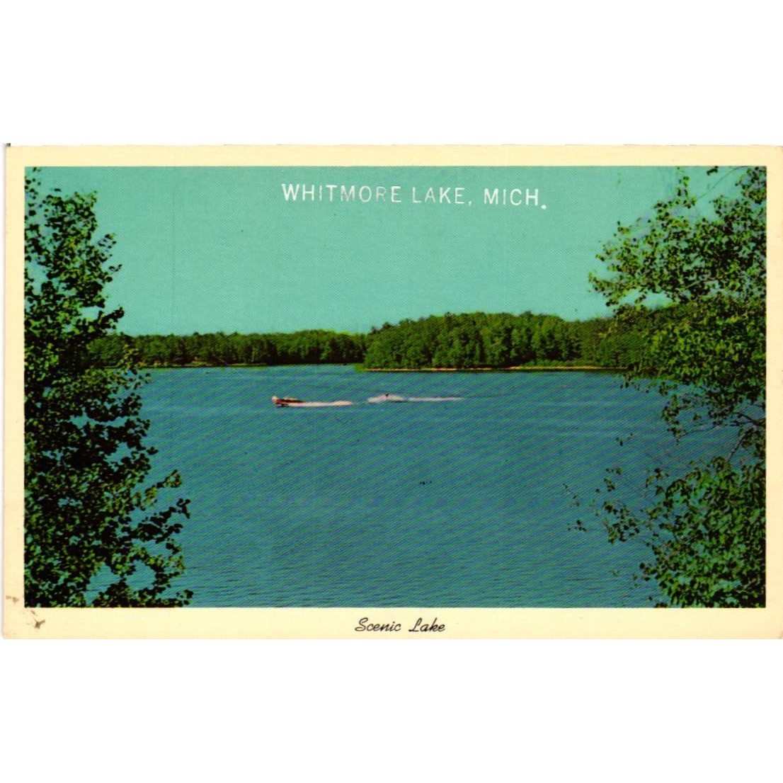 Vintage Whitmore Lake Michigan Scenic Lake Linen Postcard Curt Teich 4DK-1843