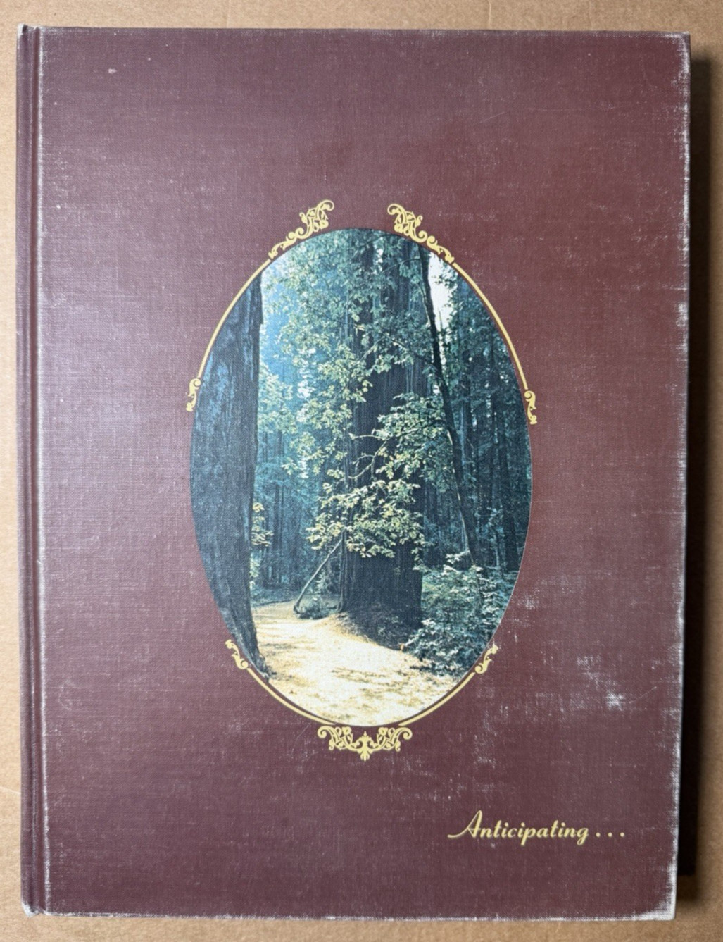 Vintage 1975 Montgomery High School Valhal Yearbook Santa Rosa California CA