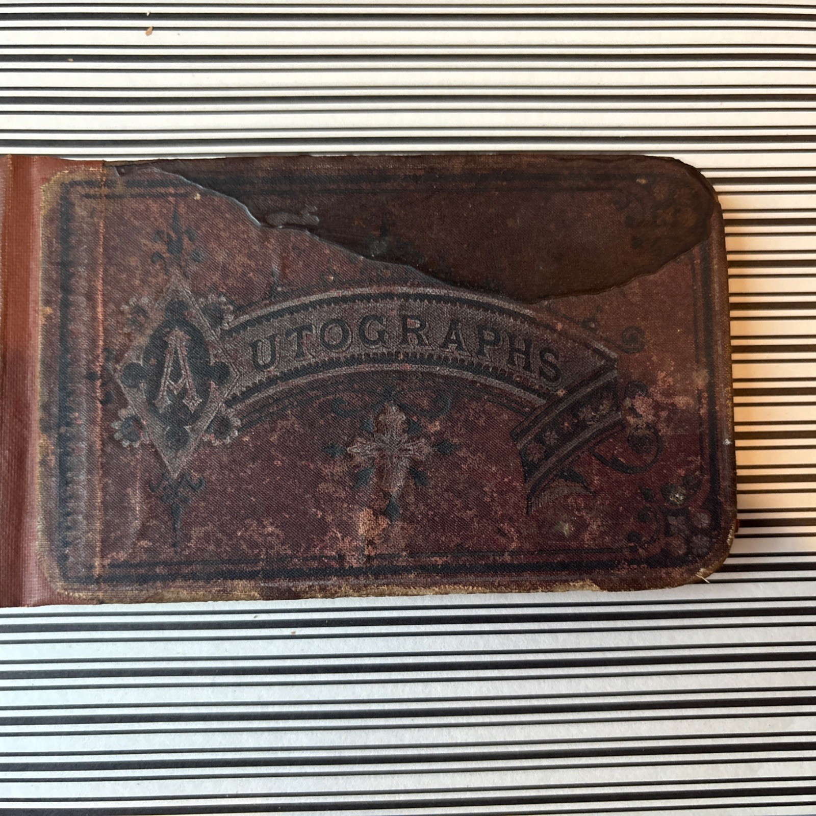 Antique 1800s Autograph Book with Handwritten Letters 