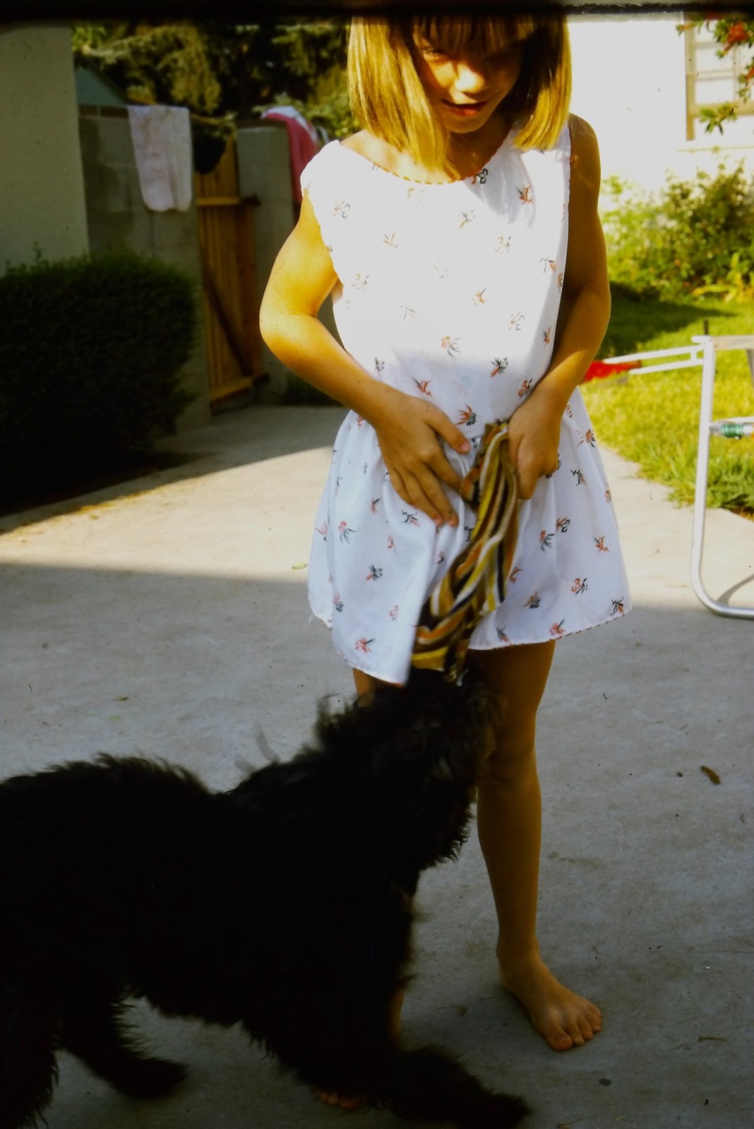 c1970's Kodachrome 35mm Slide, Girl Playing with Dog Outdoors Barefoot black c1970's Kodachrome 35mm Slide, Girl Playing with Dog Outdoors Barefoot black