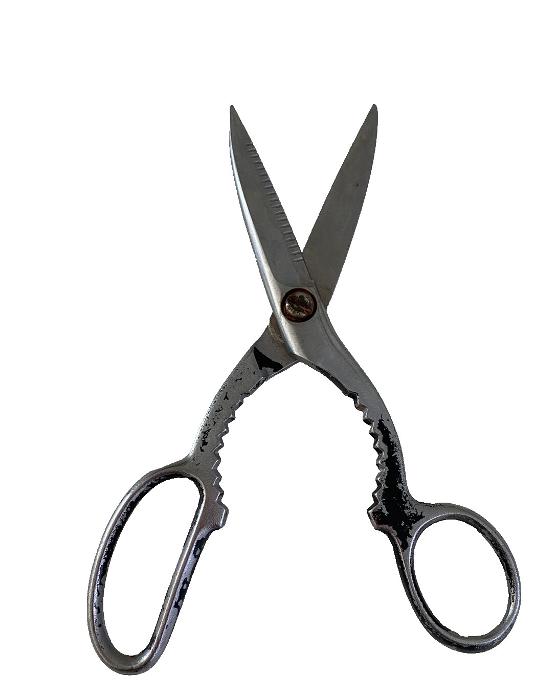 Vintage Kitchen Shears Poultry Scissors 8\'\' Bottle Jar Opener Black Handle