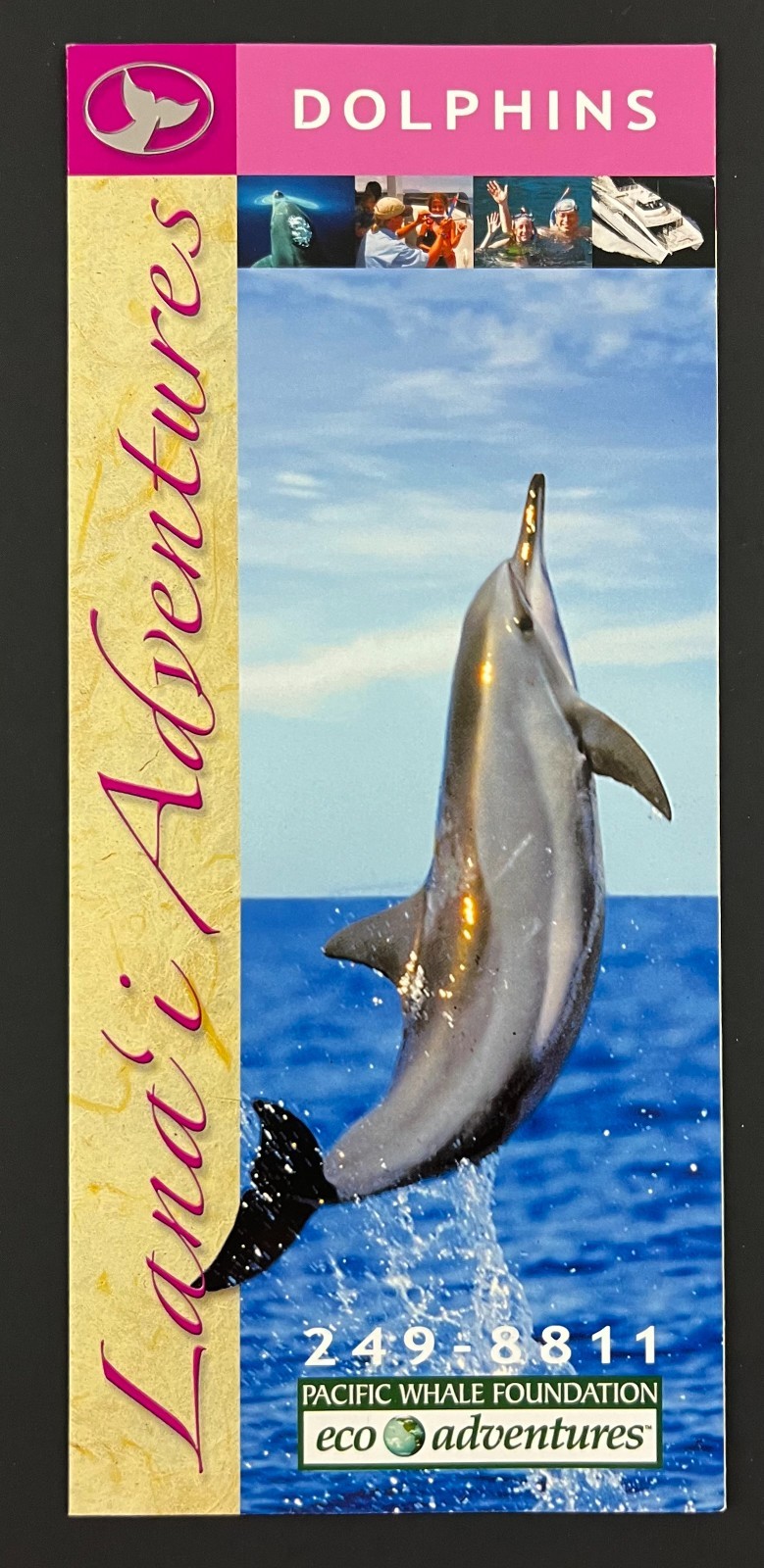 2000 Lana\'i Hawaii Swimming With Dolphins Eco Adventures Vintage Travel Brochure