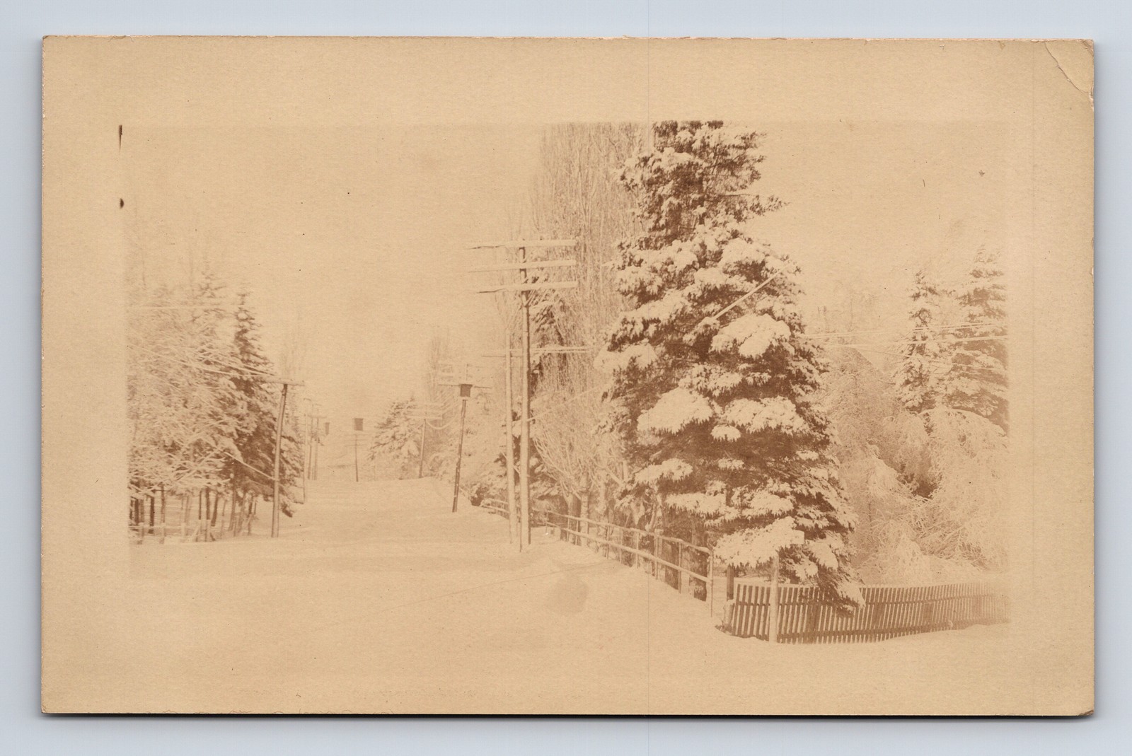 RPPC Unknown Snow Covered Road & Trees Real Photo Postcard RPPC Unknown Snow Covered Road & Trees Real Photo Postcard