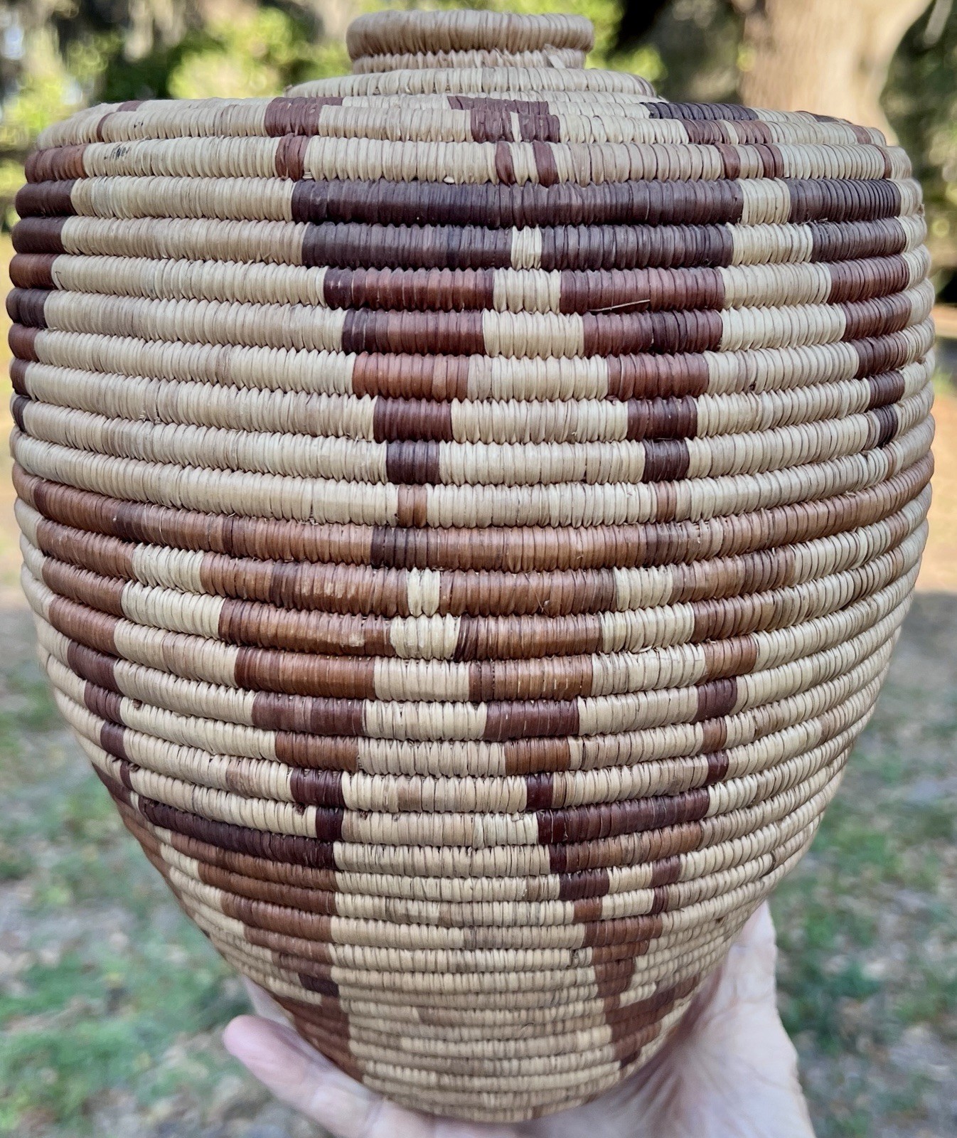 Tohono O'odham (Papago) Native American Coiled Olla Basket 10 Tohono O'odham (Papago) Native American Coiled Olla Basket 10